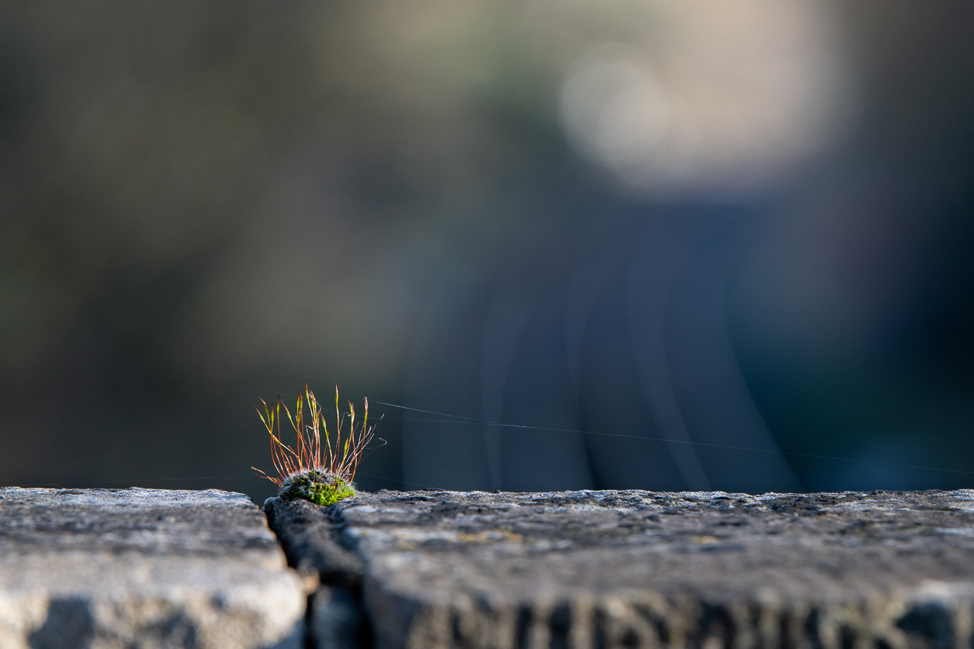 58. Bonus #trainlineBokeh