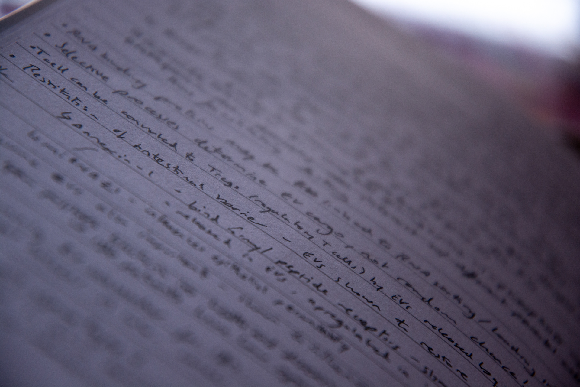 95/365 Proposal writing. Didn't leave the house, so here is my notebook instead