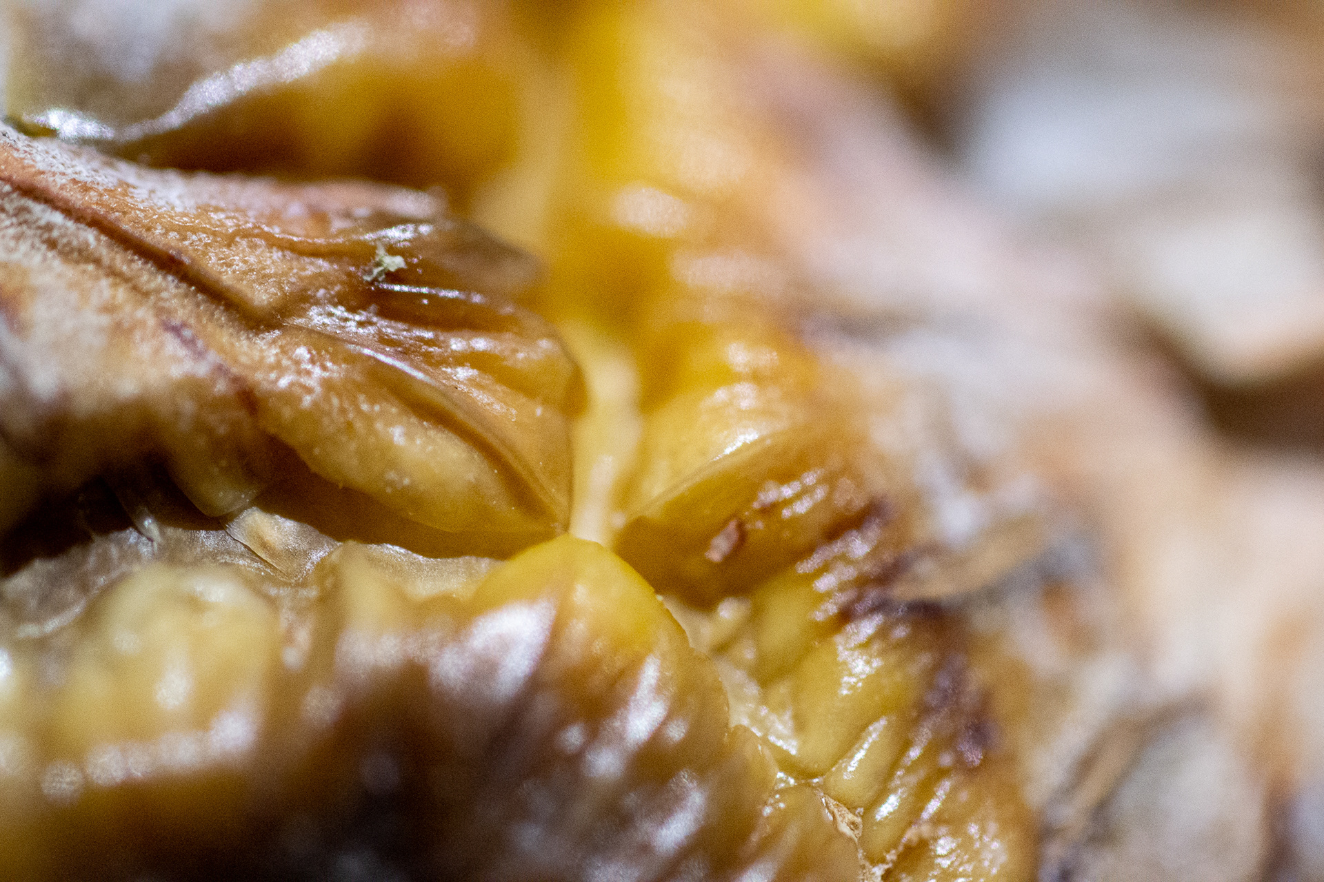 140/365 Pineapple skin.