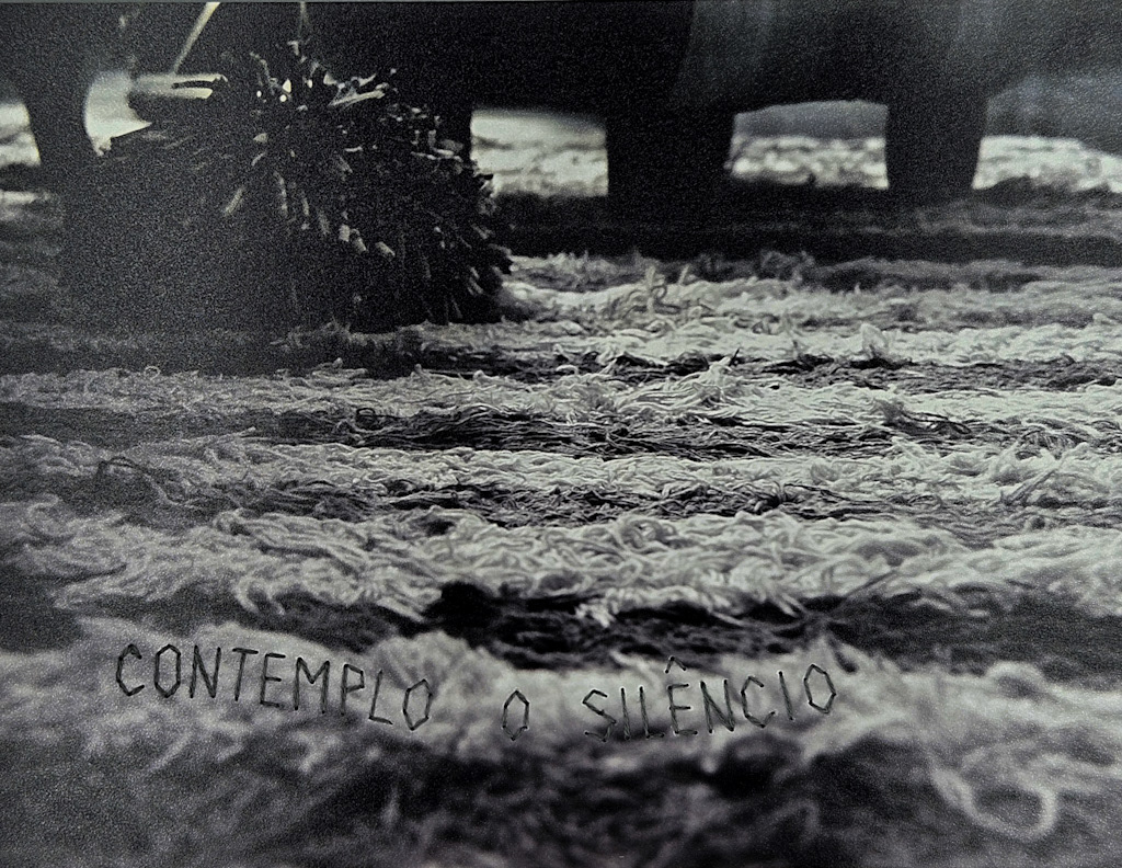 Contemplo o silêncio