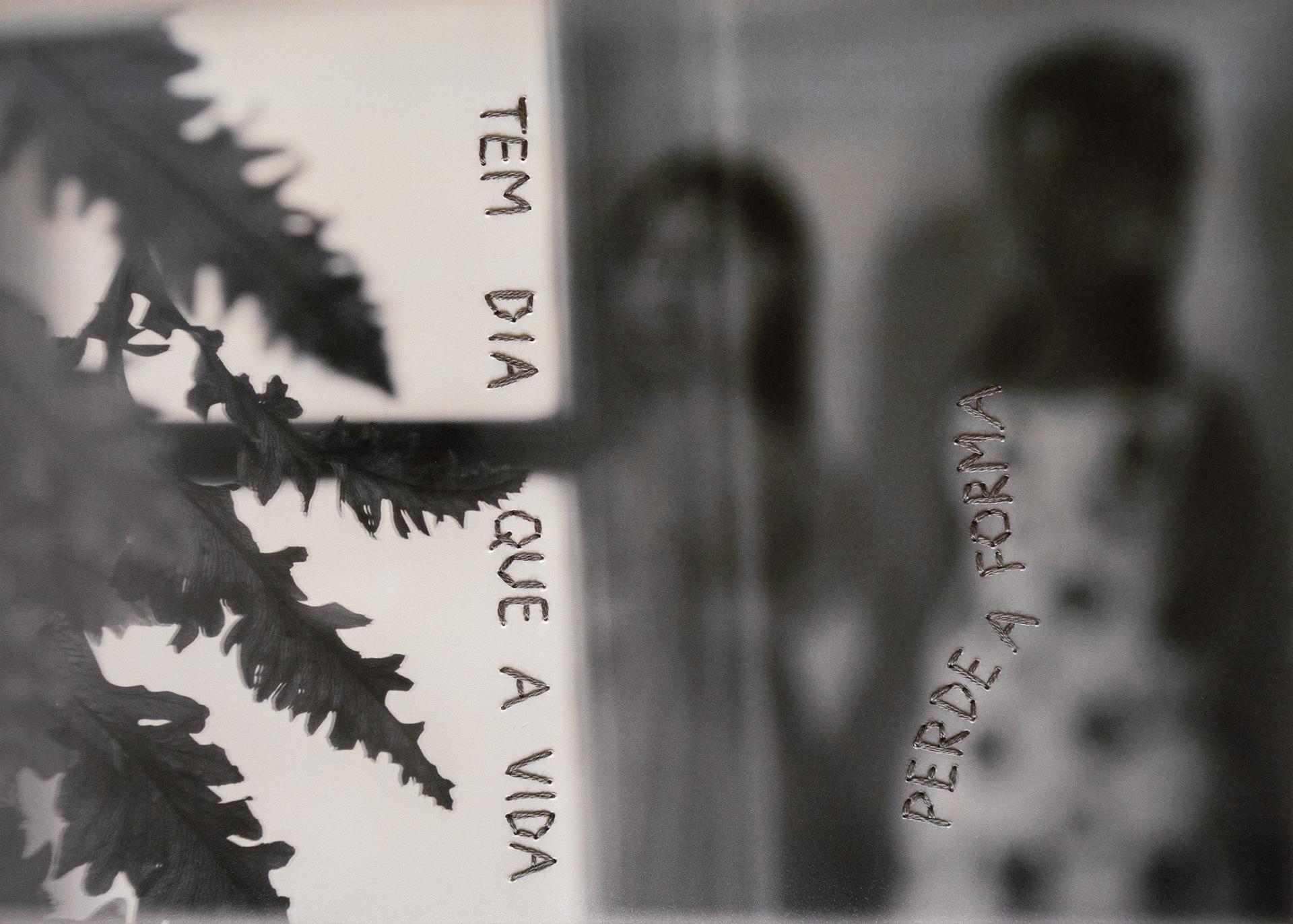 Tem dia que a vida perde a forma