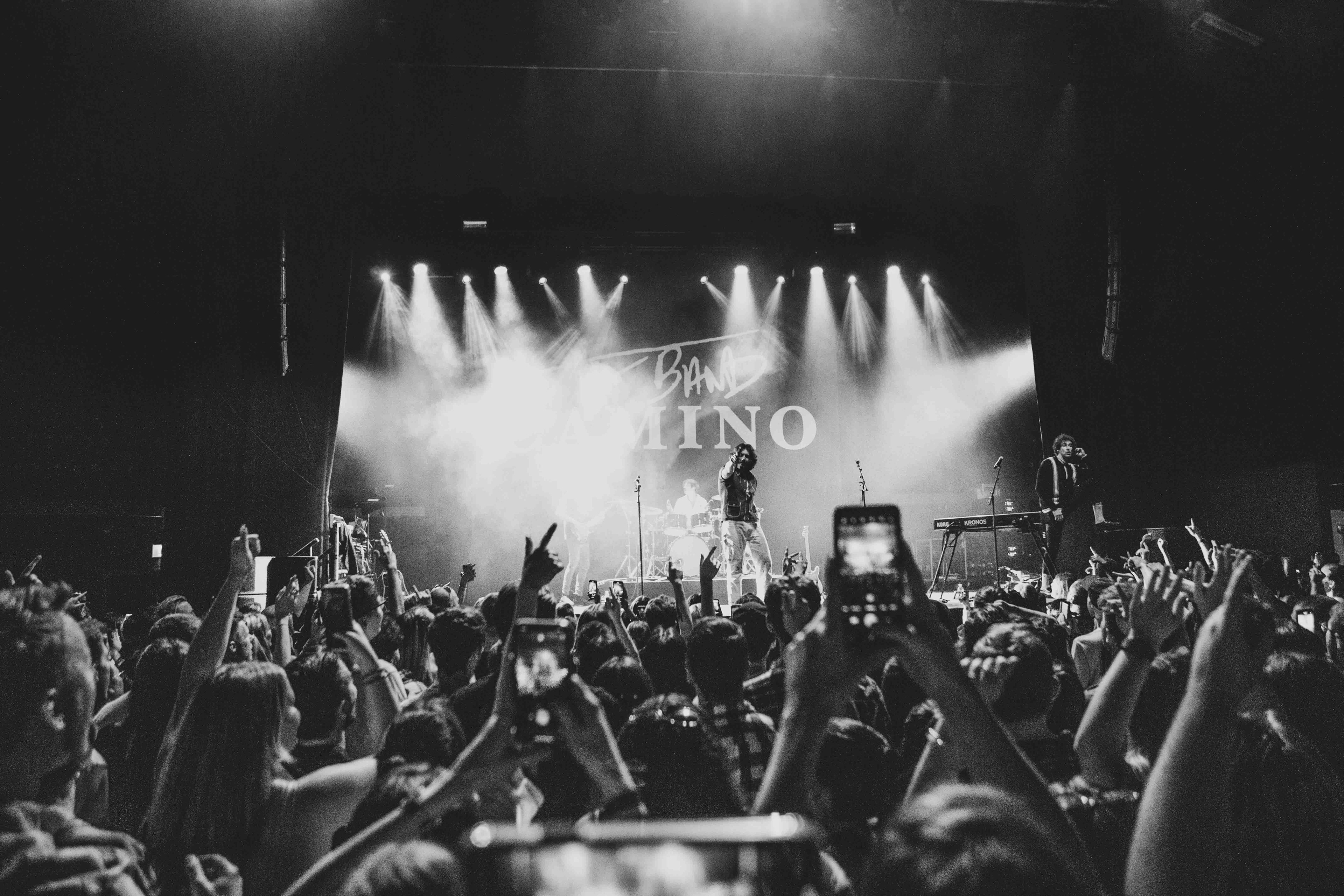 THE BAND CAMINO