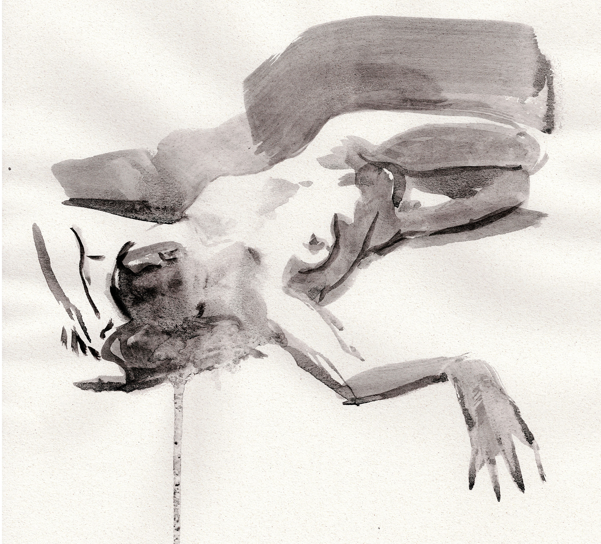 ÁFRICA - NITRAM WATERSOLUBLE CHARCOAL ON CANSON PAPER, A3, 2025 