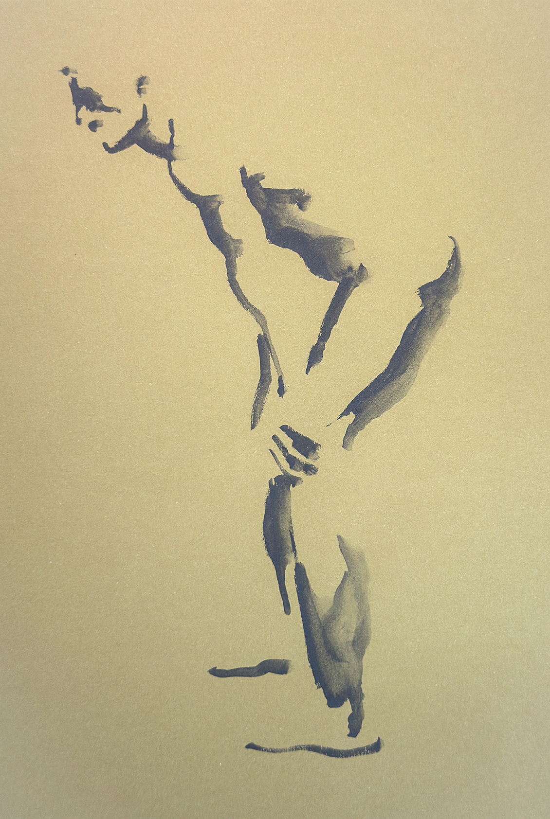 NITRAM WATERSOLUBLE CHARCOAL ON CANSON PAPER, A3, 2025 