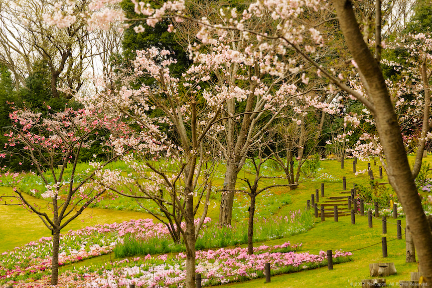 Satoyama Garden Picnic Grounds