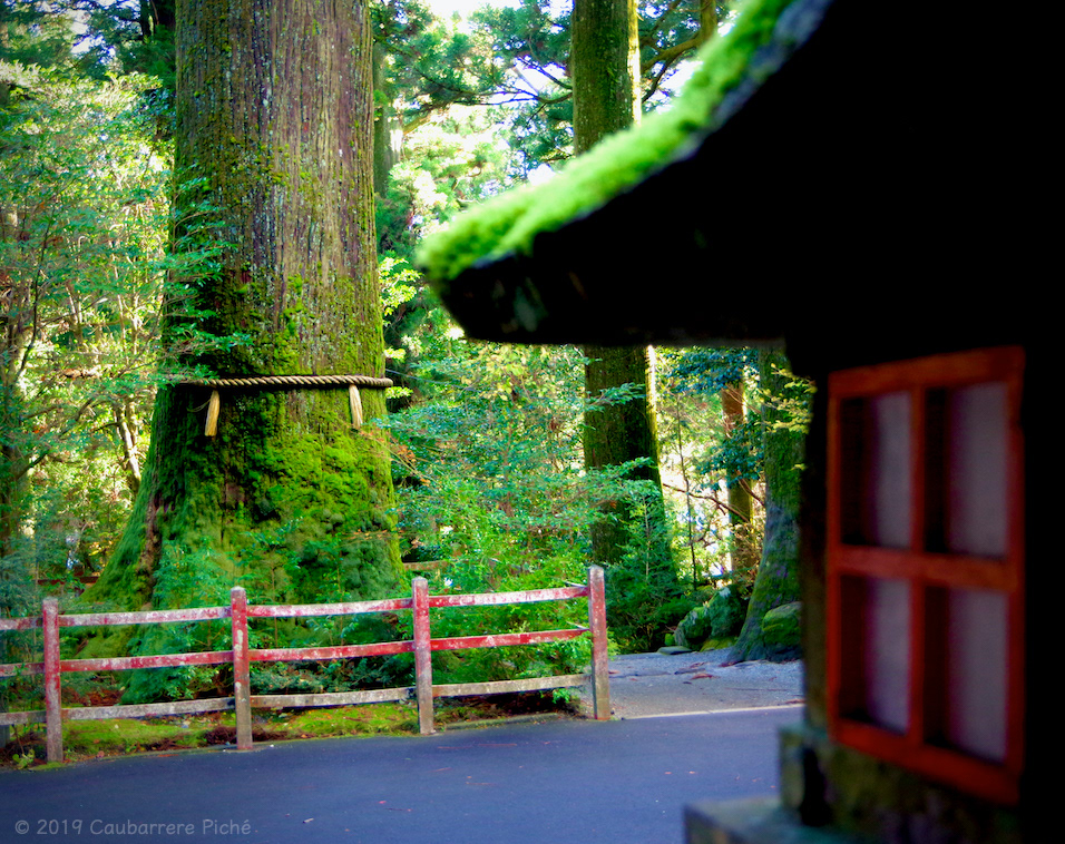 Ashinoko Lake, Hakone