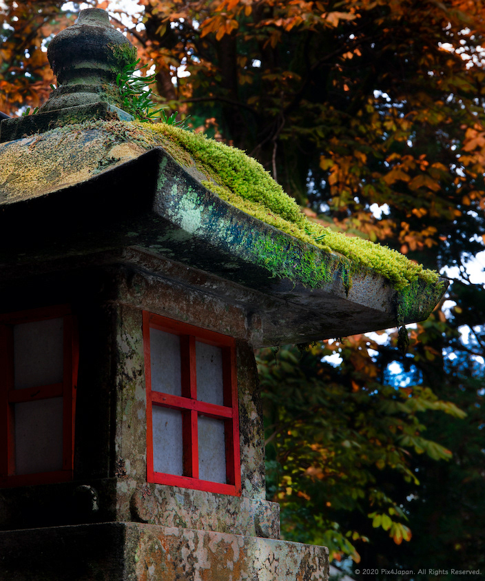 Stone Lantern at Mountain Shrine