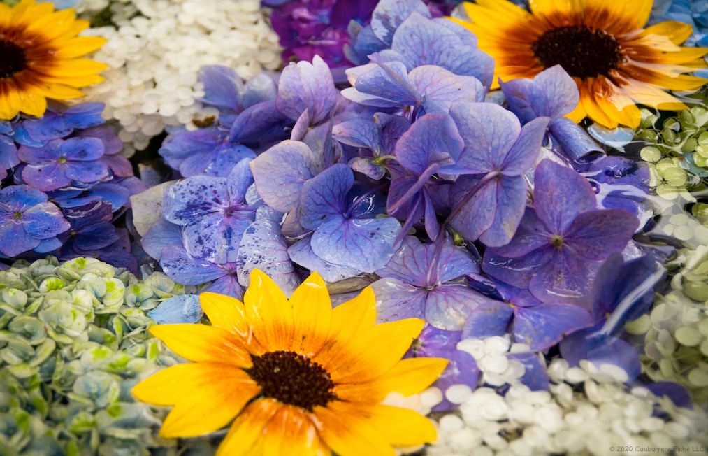 Water Bowl with Flower Petals