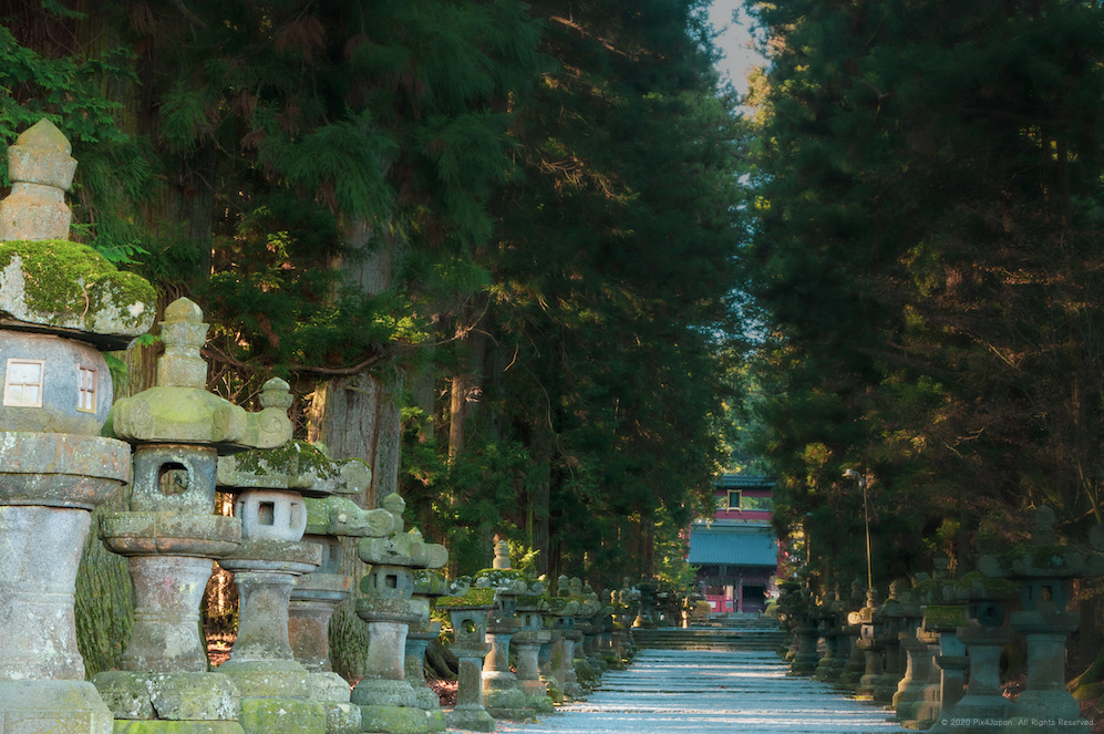 Stone Lantern Corridor