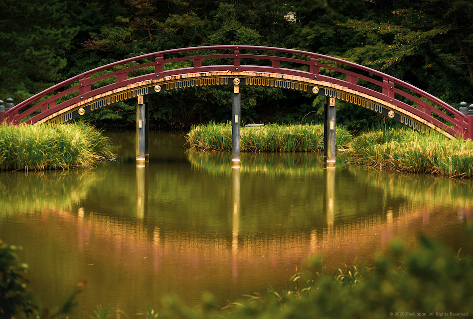 Arched Bridge of Japanese Temple Garden