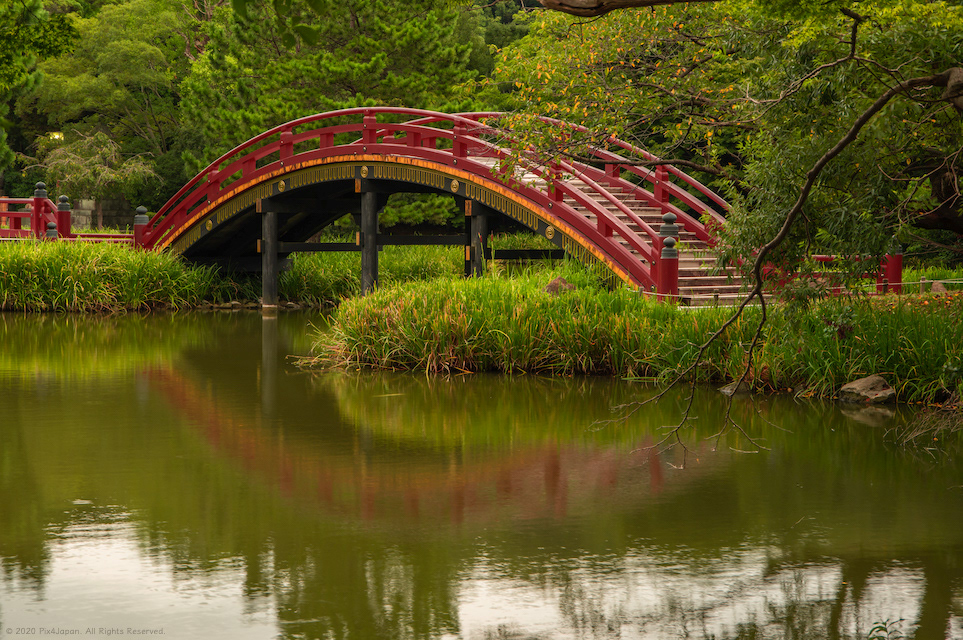 Arched Bridge of Temple Garden