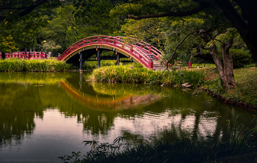 Arched Bridge of Temple Garden