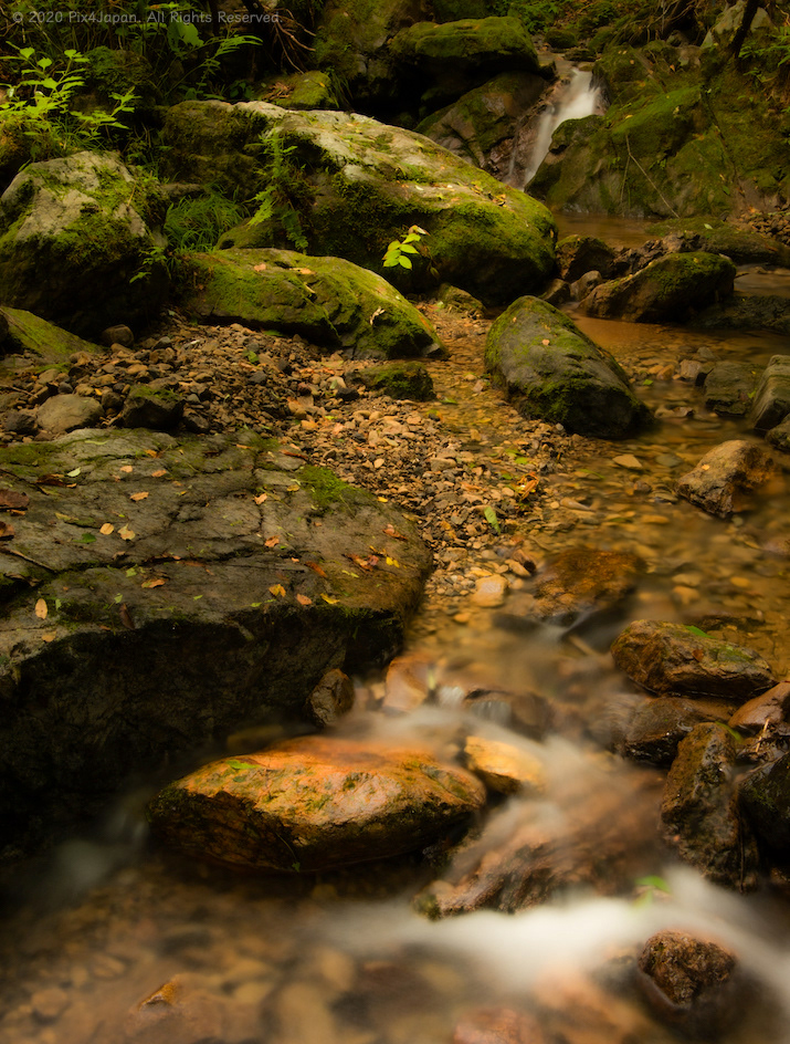 Flowing Stream in Deep Mountain Ravine