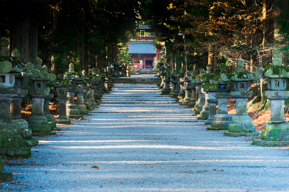 Long Path to Shrine