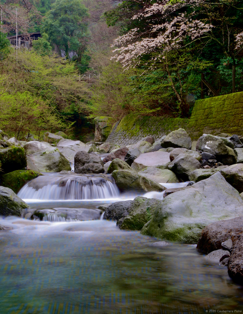 Mt. Hakone