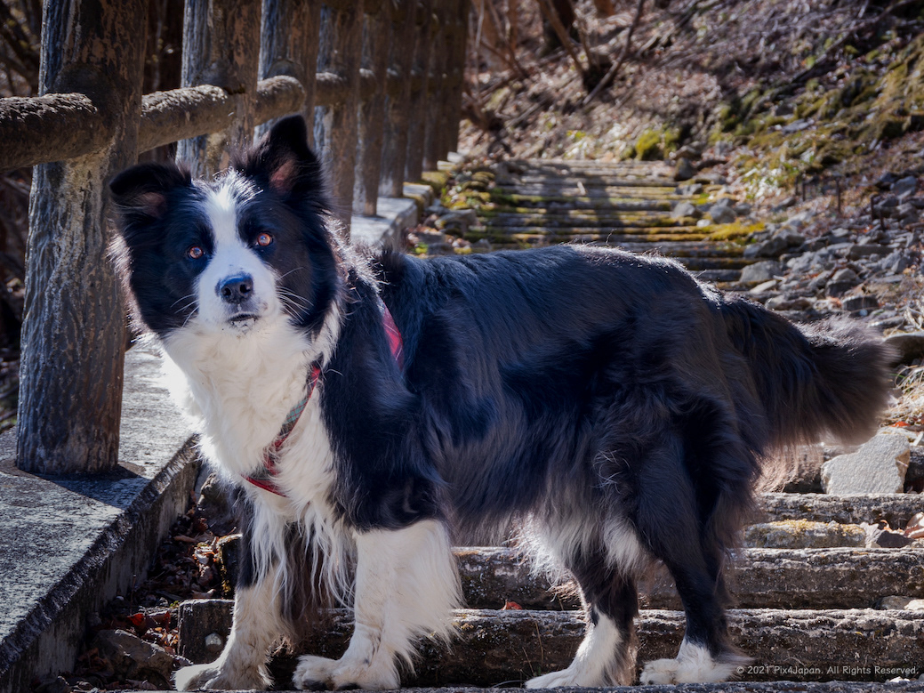 Waiting to go Hiking