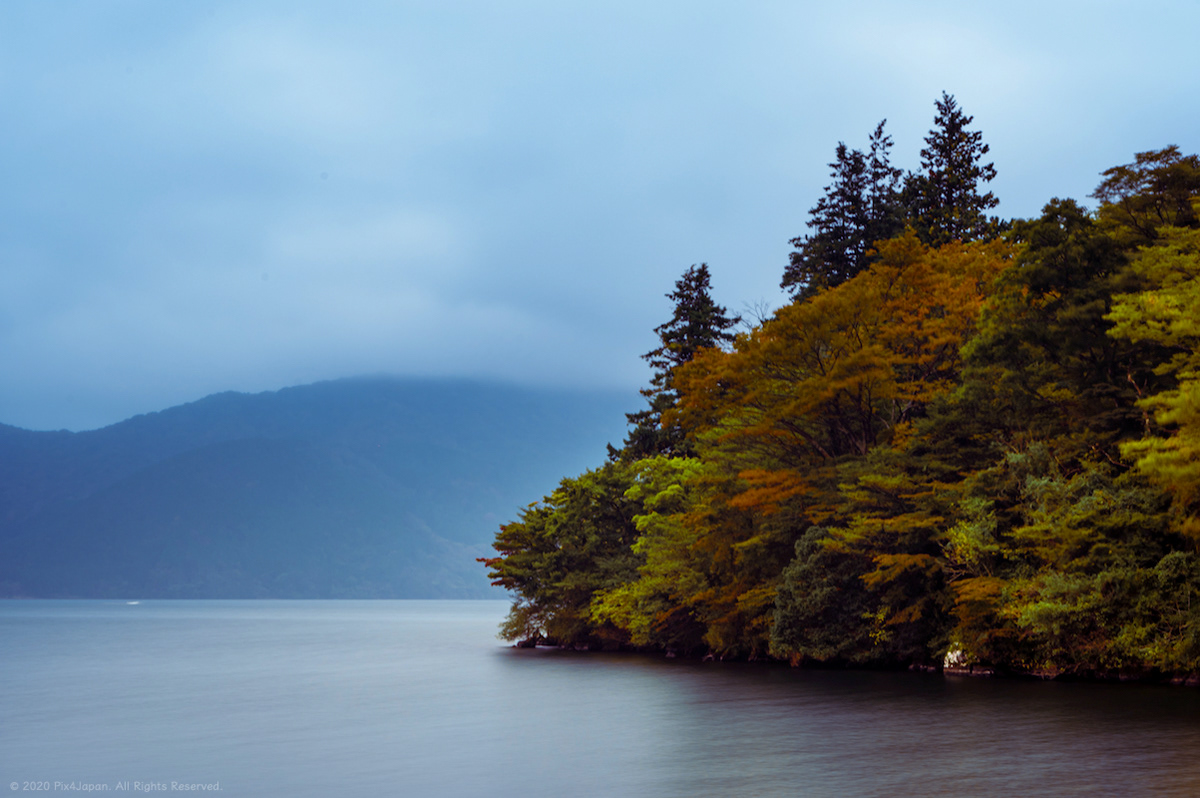 Early Autumn Foliage