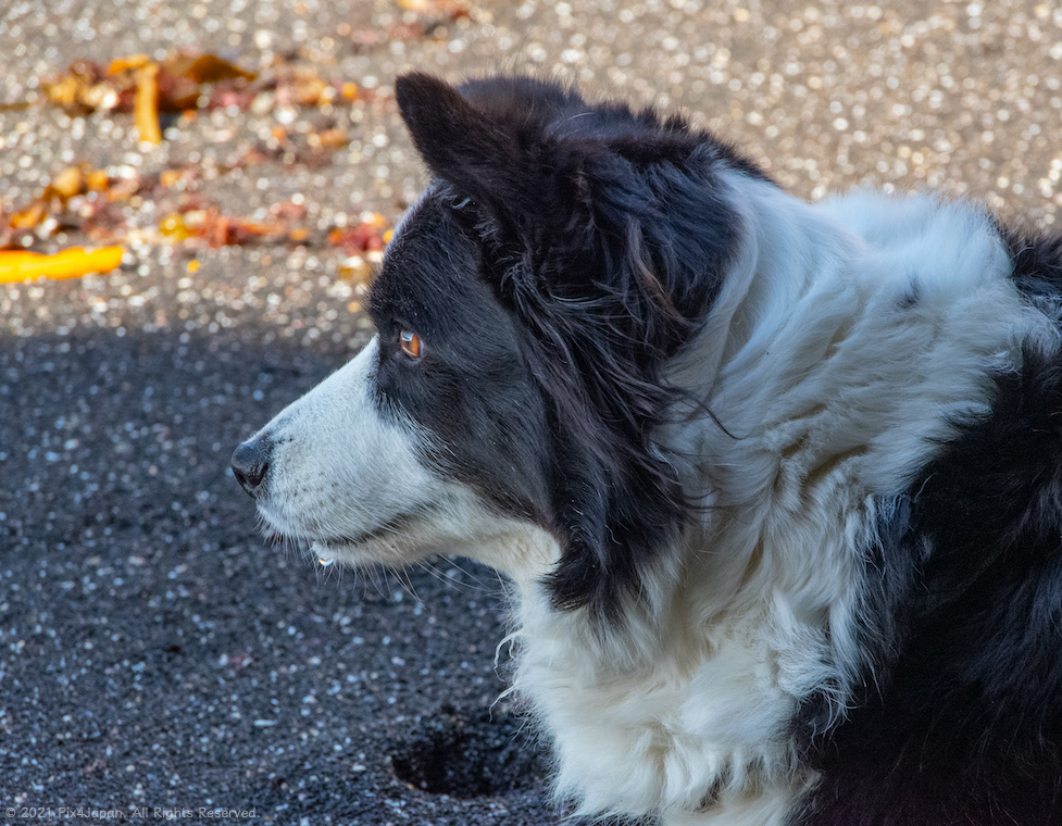 Watching Waves