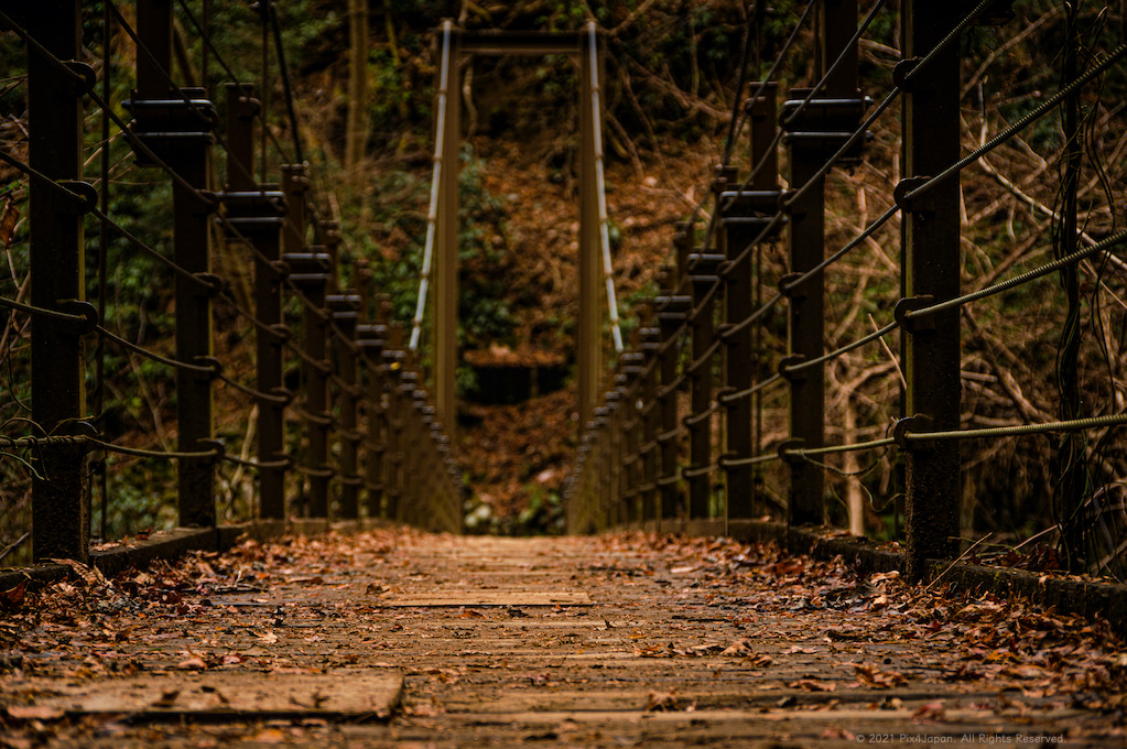 Suspension Bridge