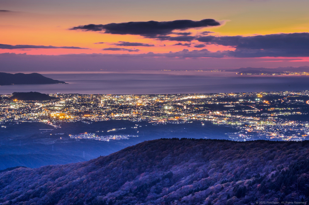 Coastal City Lights
