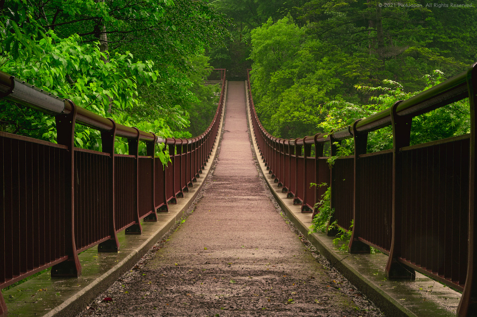 Suspension Bridge
