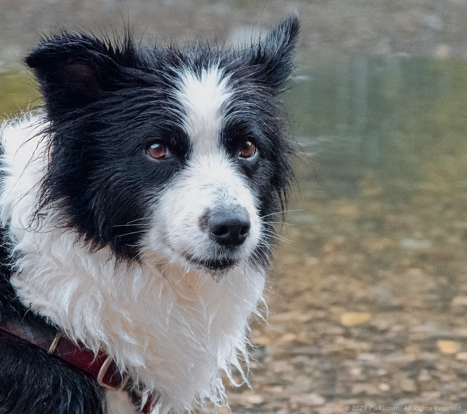 Playing in River