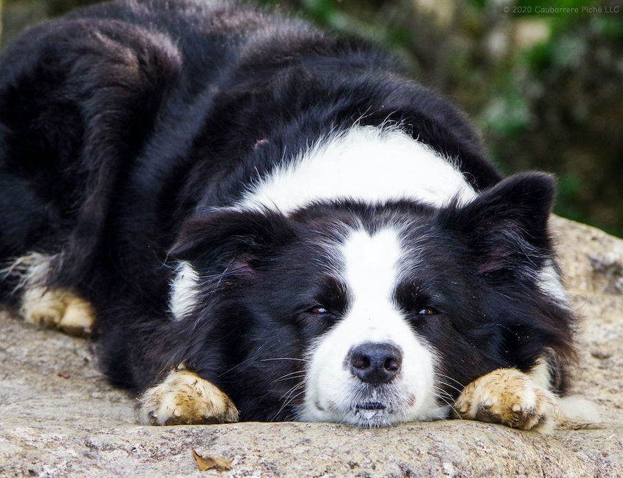 Tired