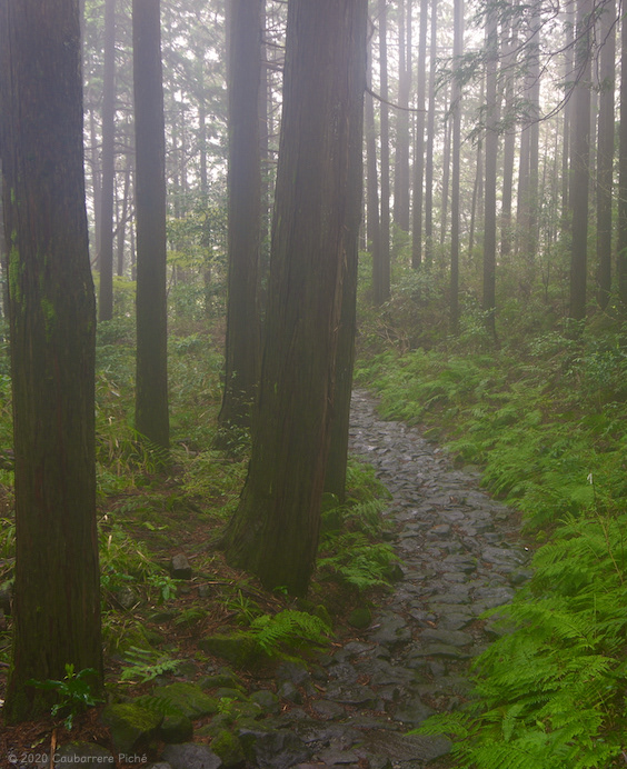 Mt. Hakone