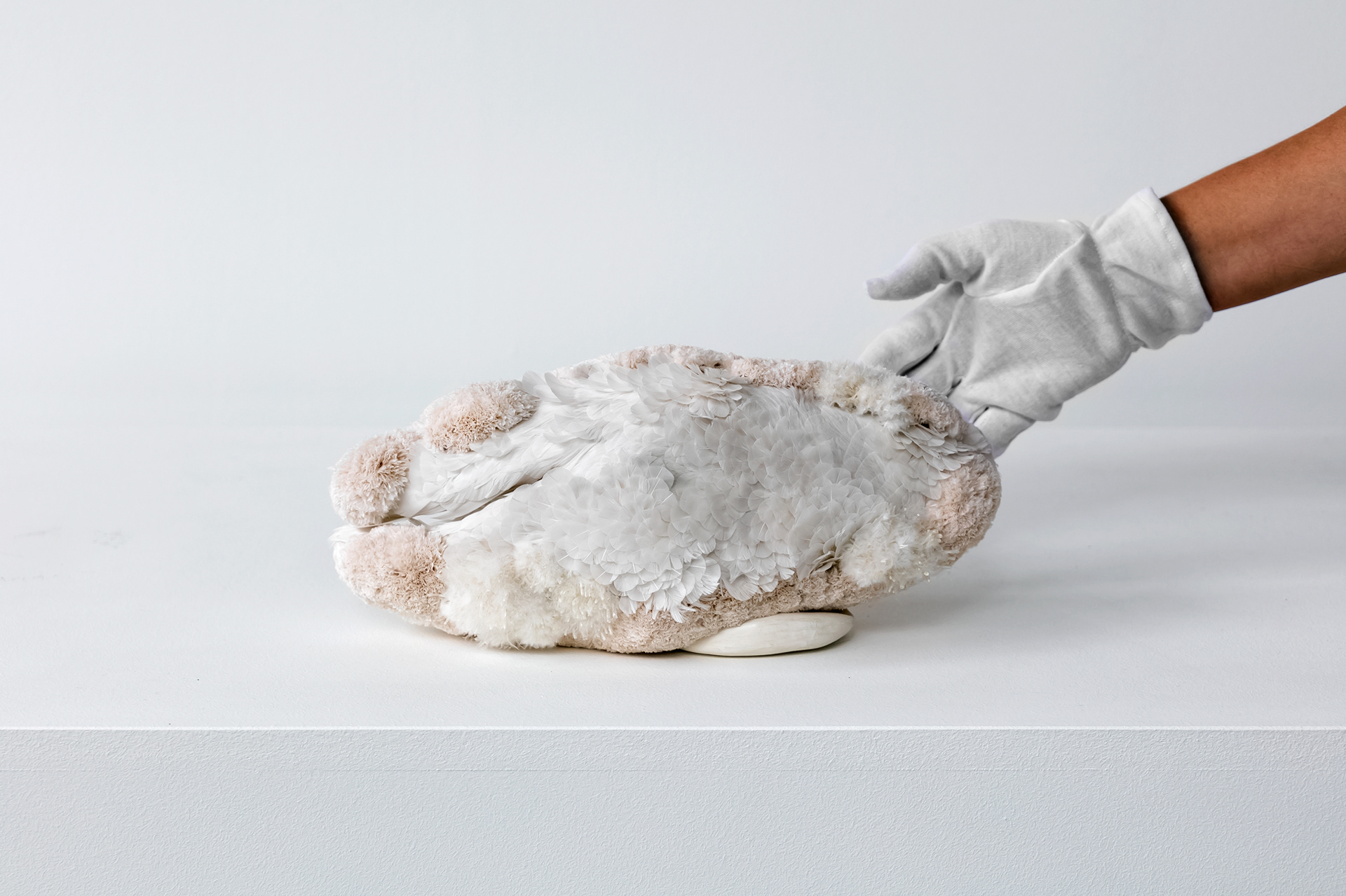 Marion Hawecker