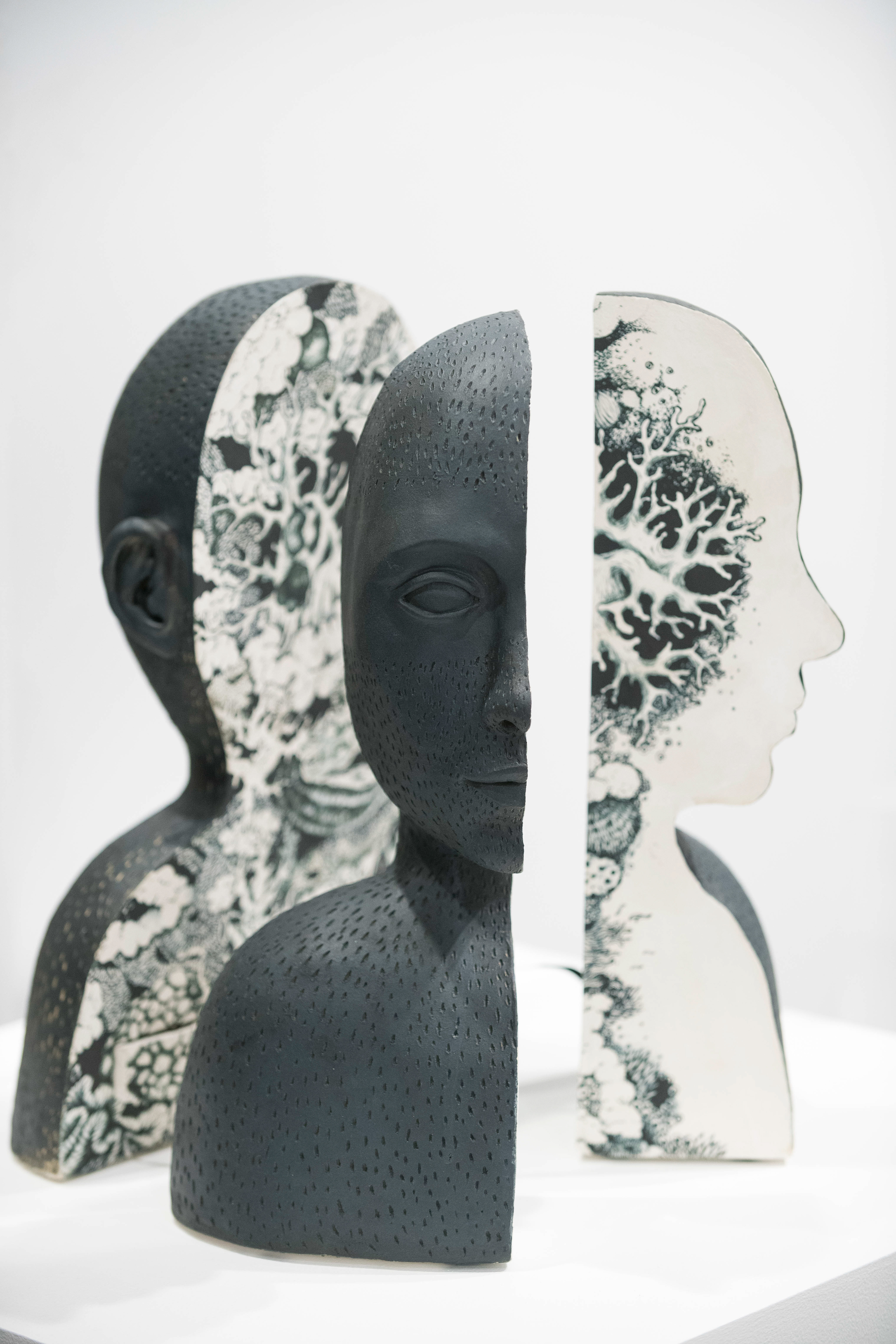 Aster Cassel