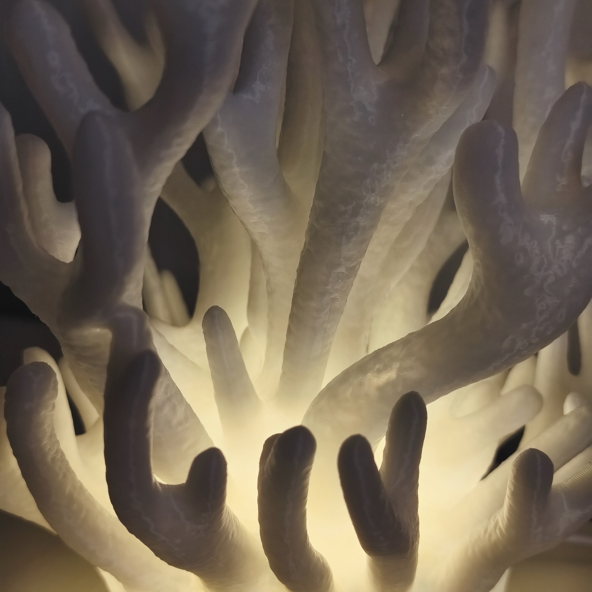 02 coral_lamp