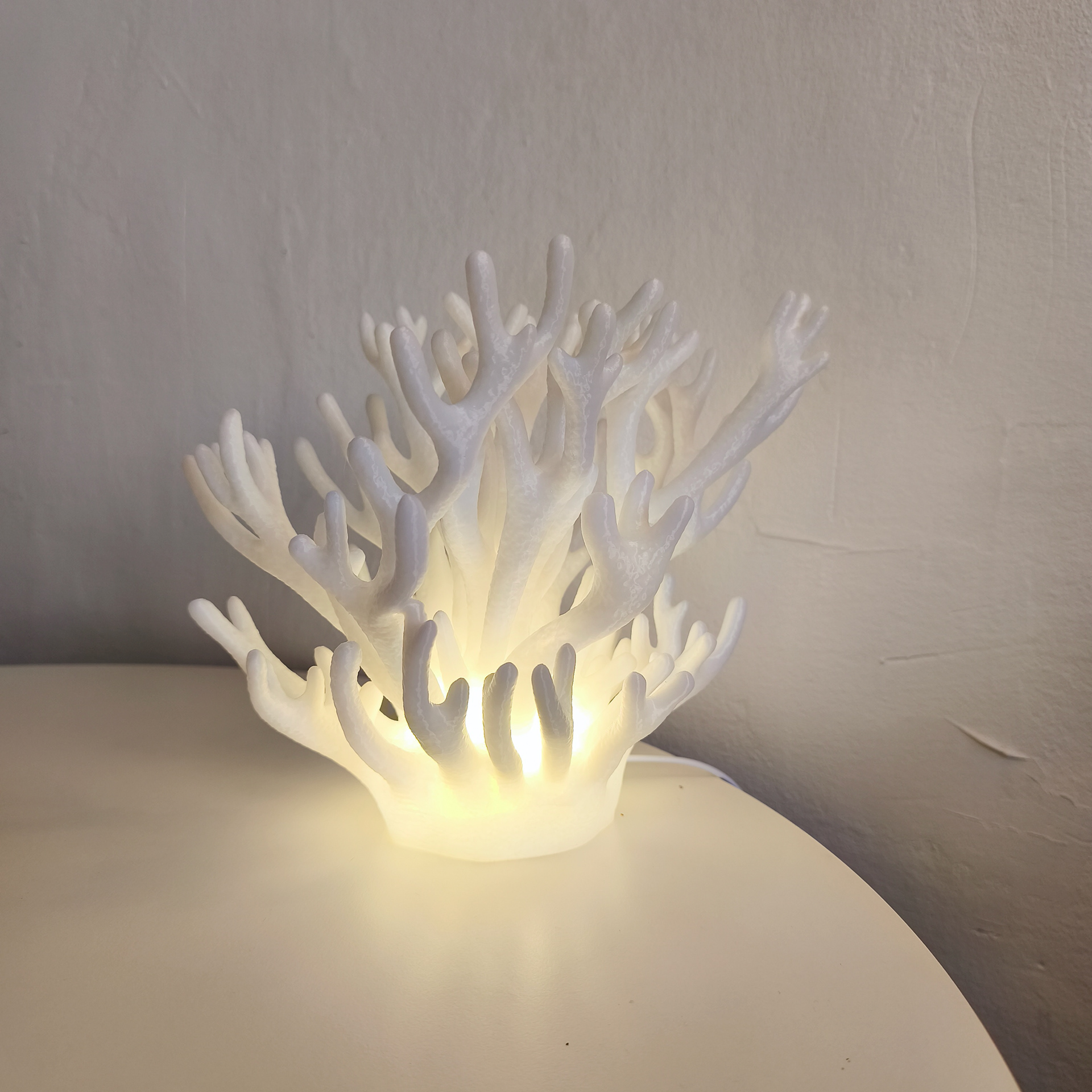 02 coral_lamp