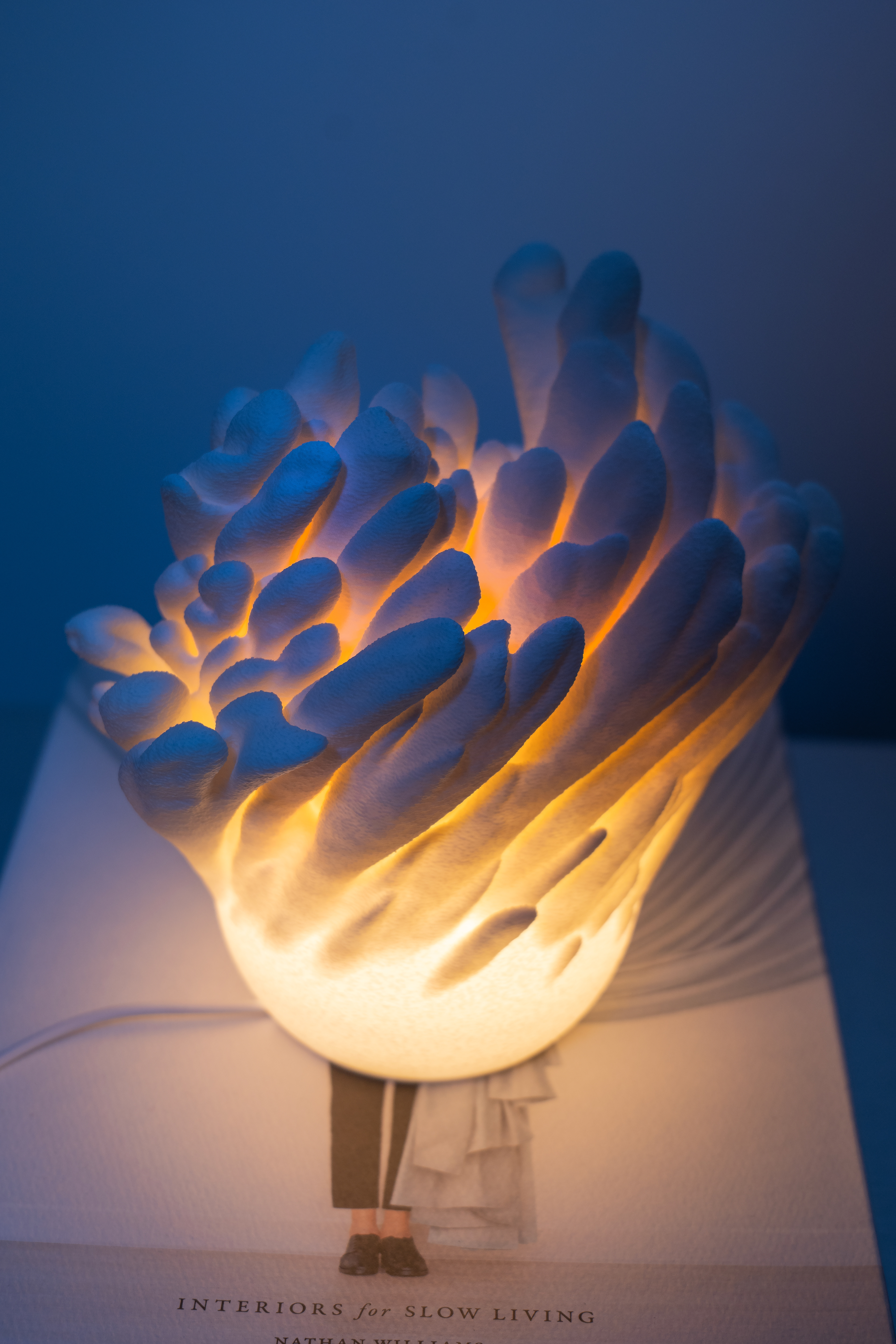16 Underwater Bloom