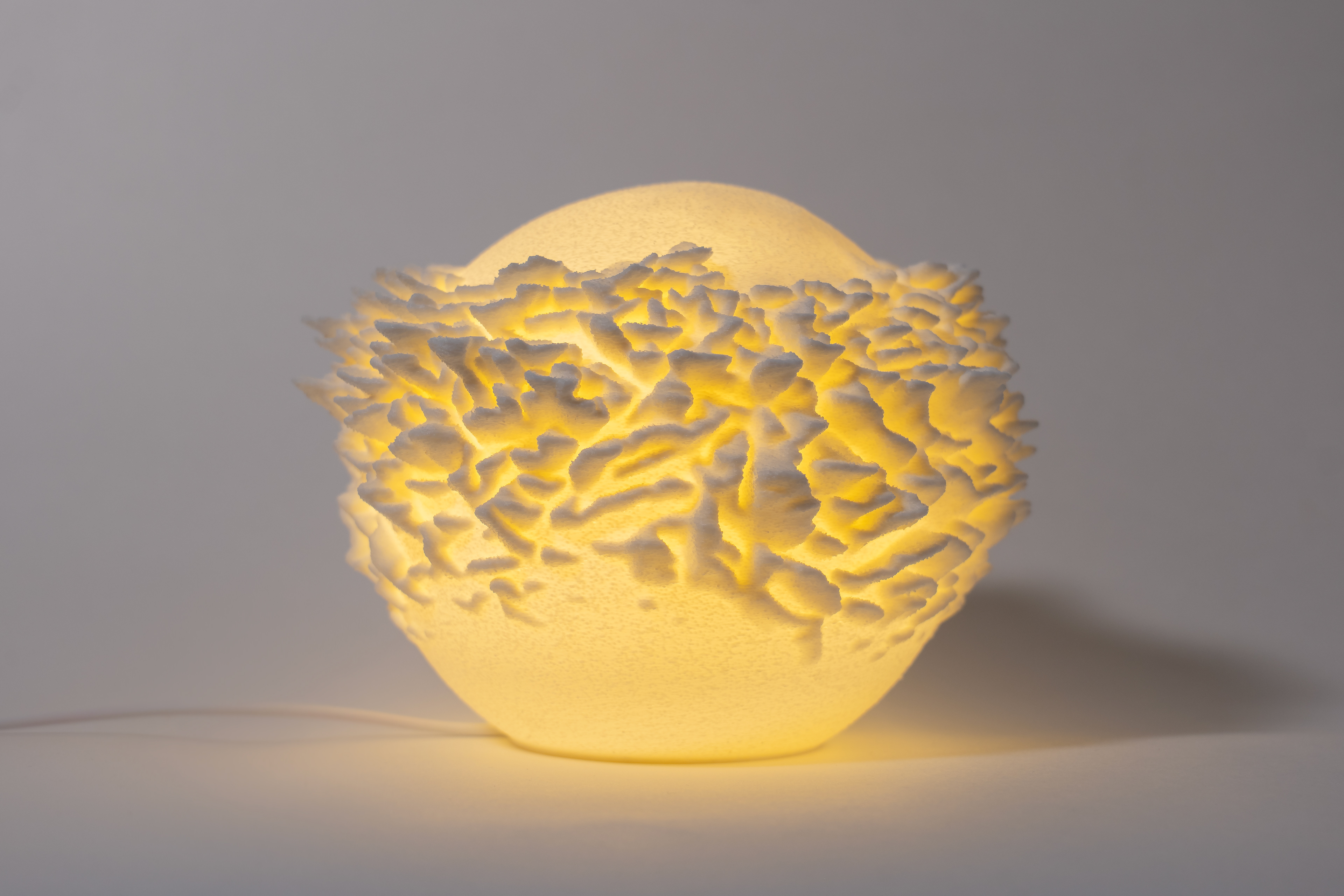 14 Plate Coral Sculpted Mini Lamp