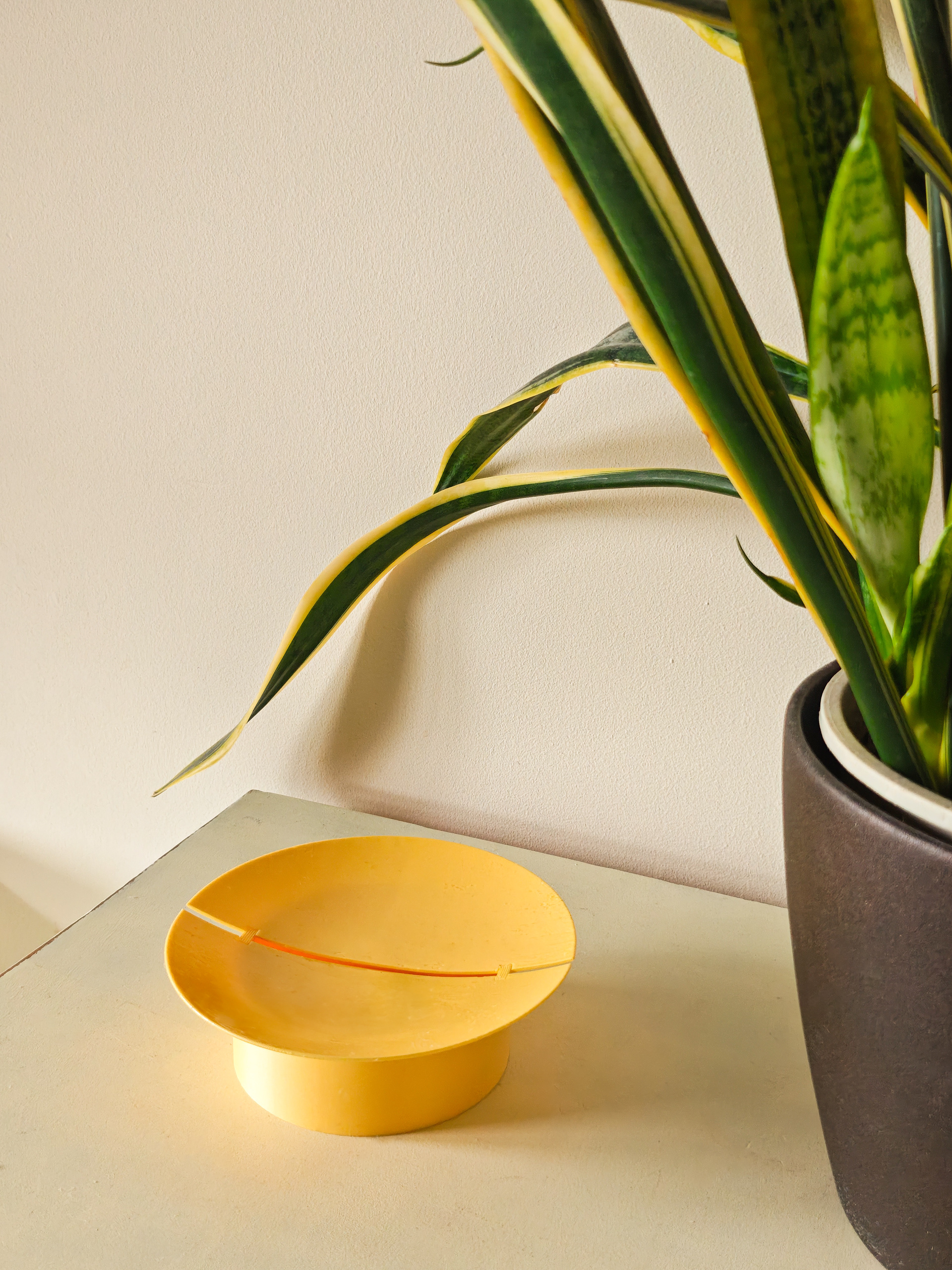 03 sun_tray