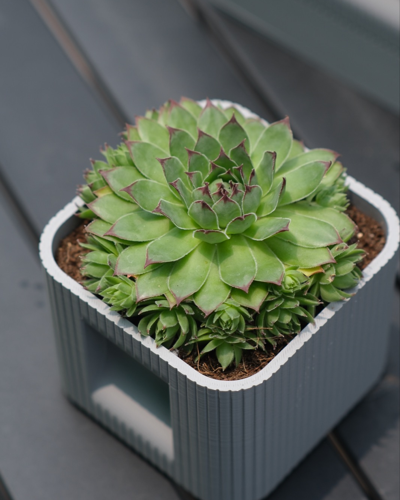 02 aura_duo_architectural_ribbed_square_planter_with_hidden_drainage