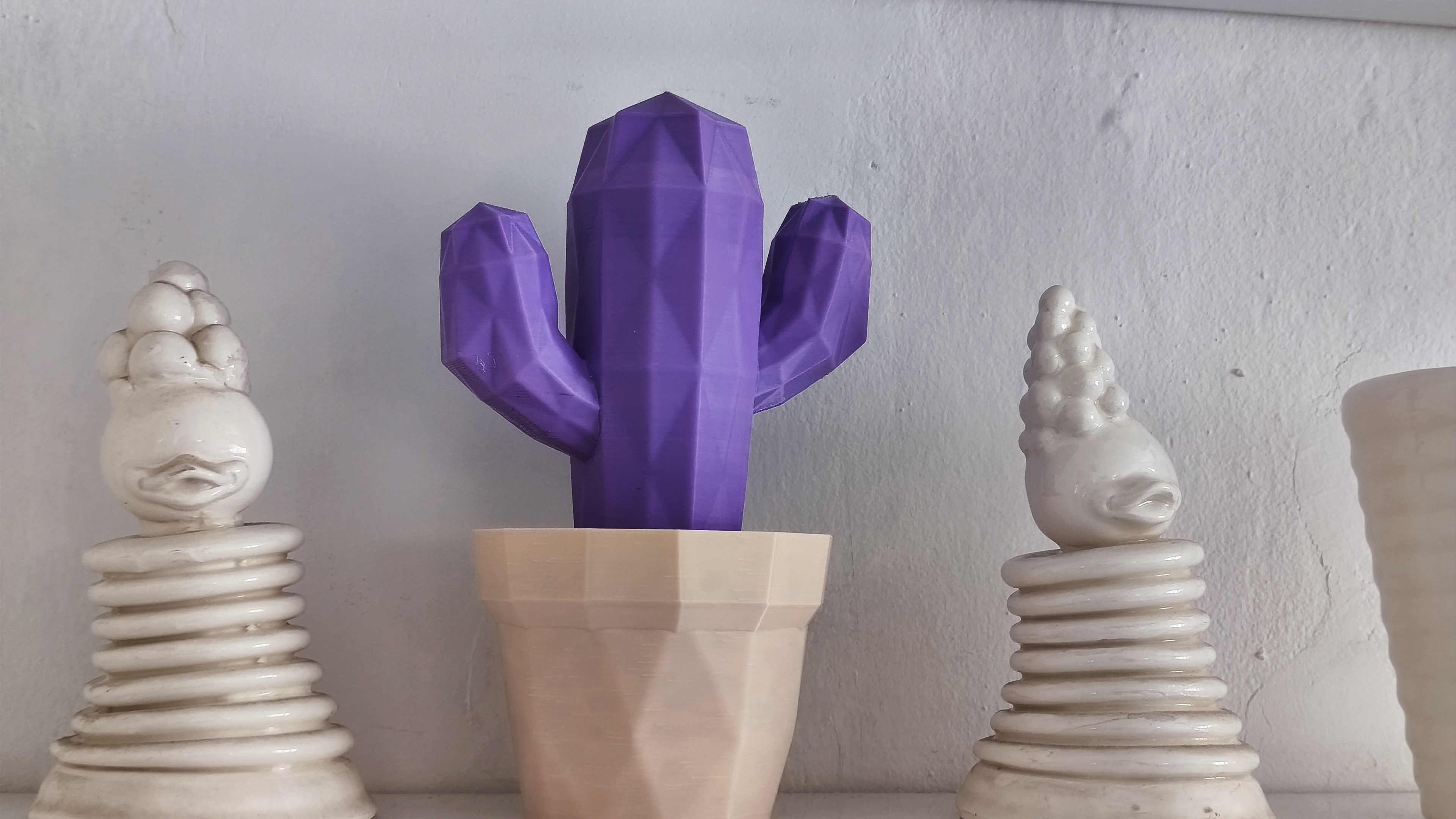 04 cactus_planter_organizer