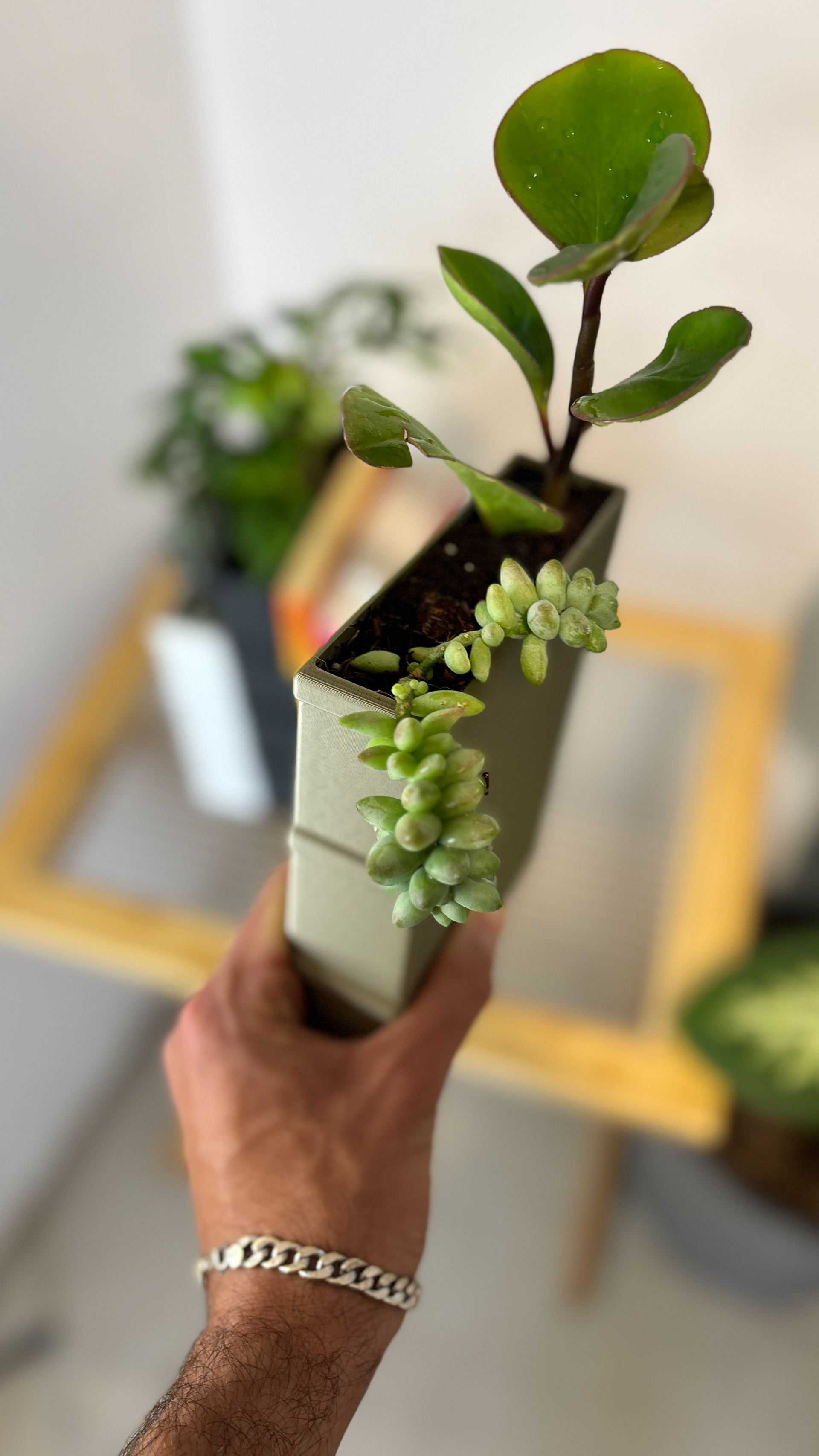 01 book_shaped_bookend_planter