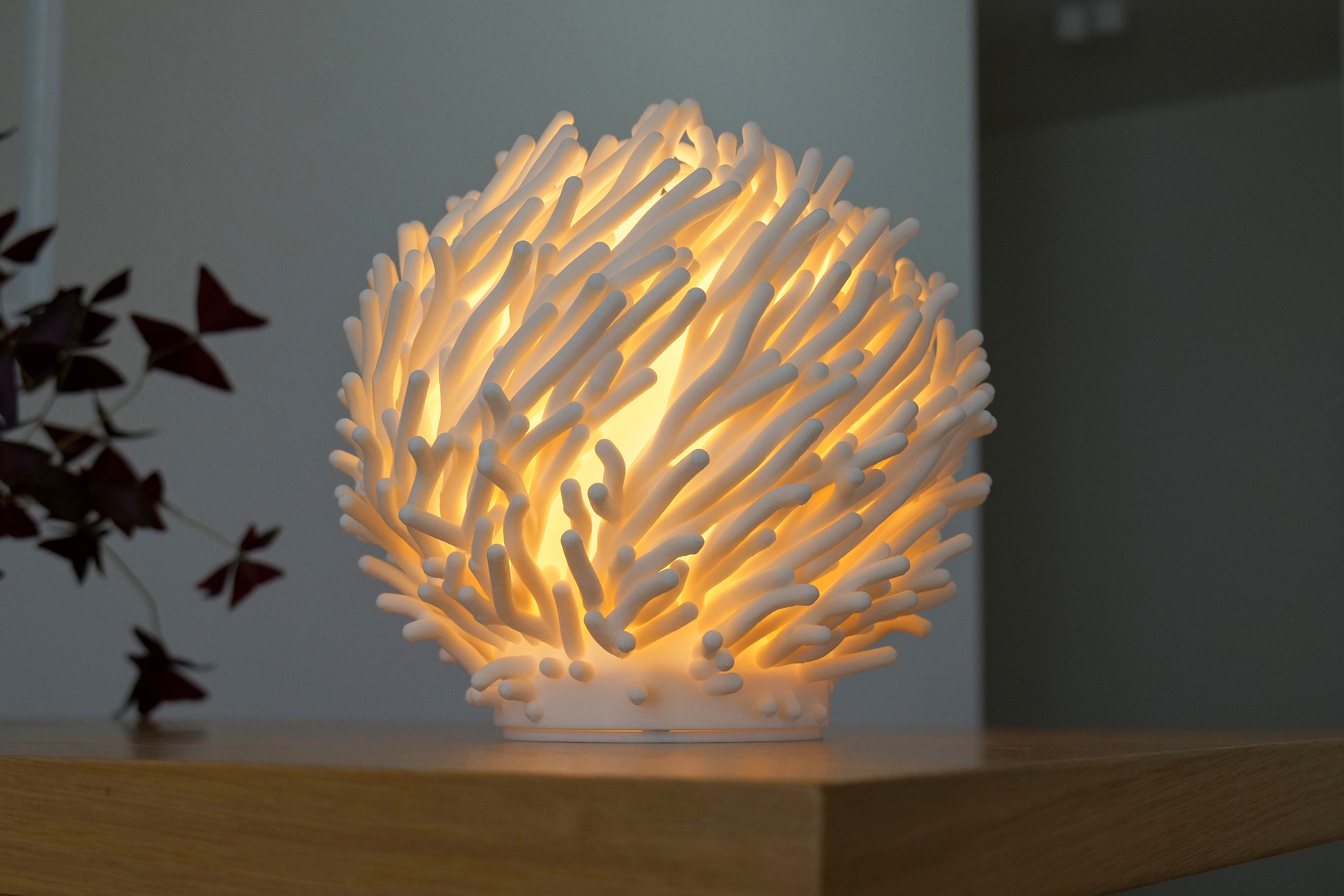 07 Coral Sculpted Lamp Design by Leora