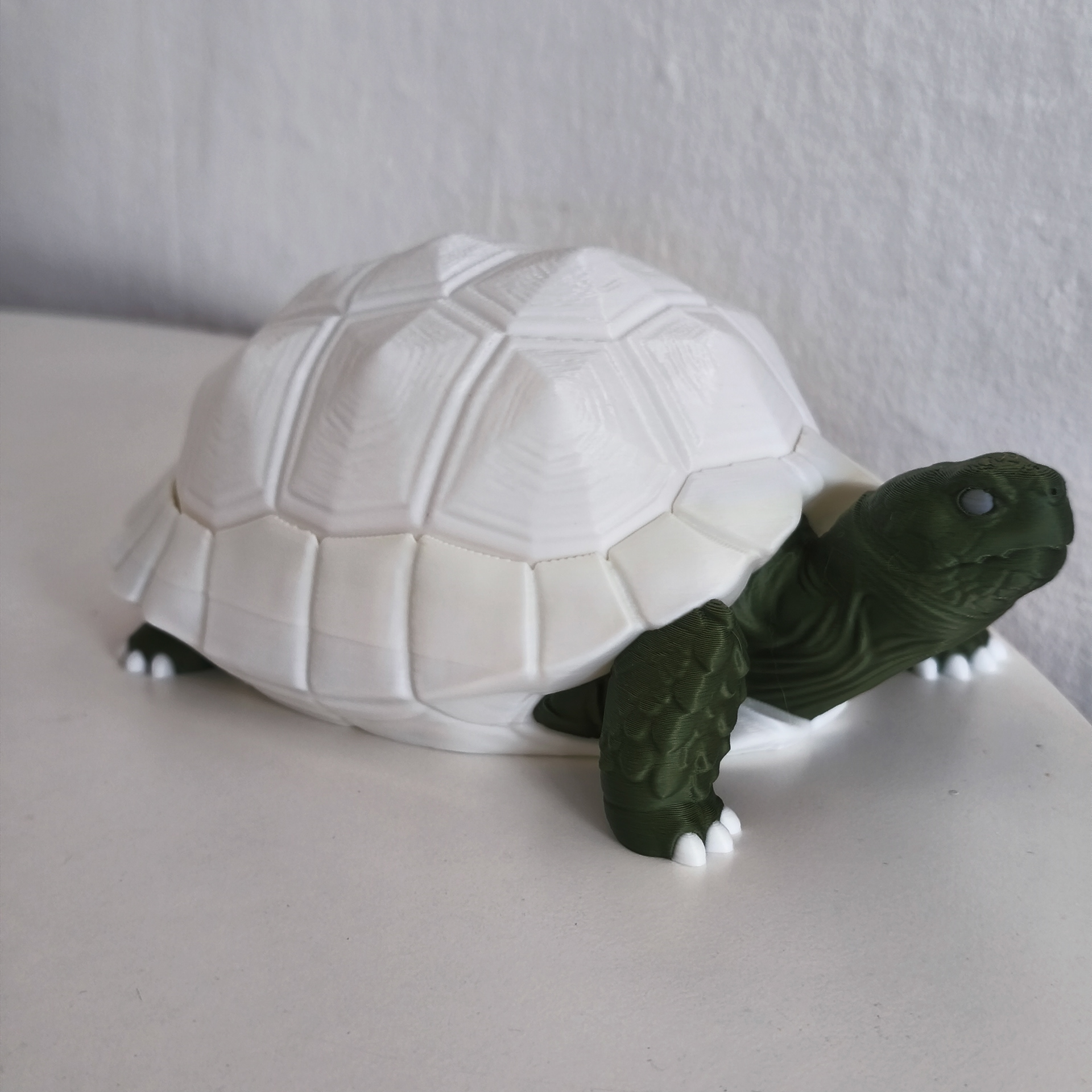 06 tortoise_lamp
