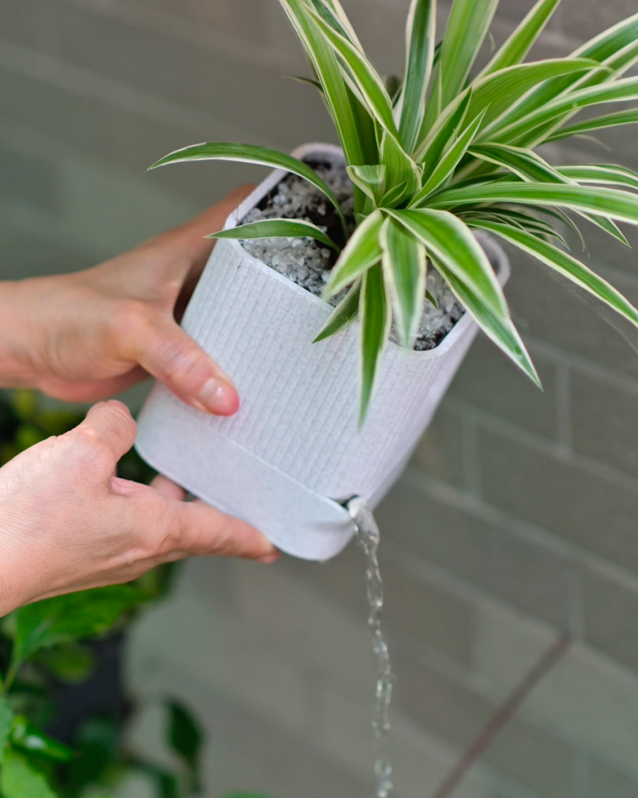 01 aura_architectural_ribbed_square_planter_with_hidden_drainage