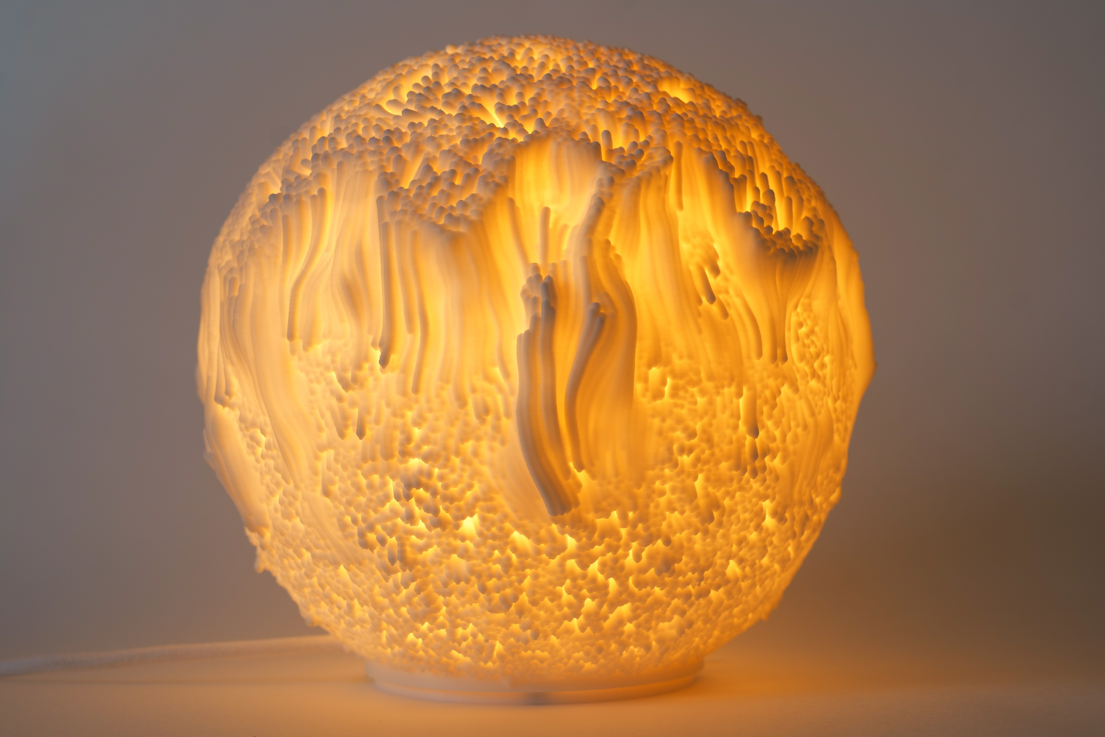 09 Reef Sculpted Lamp