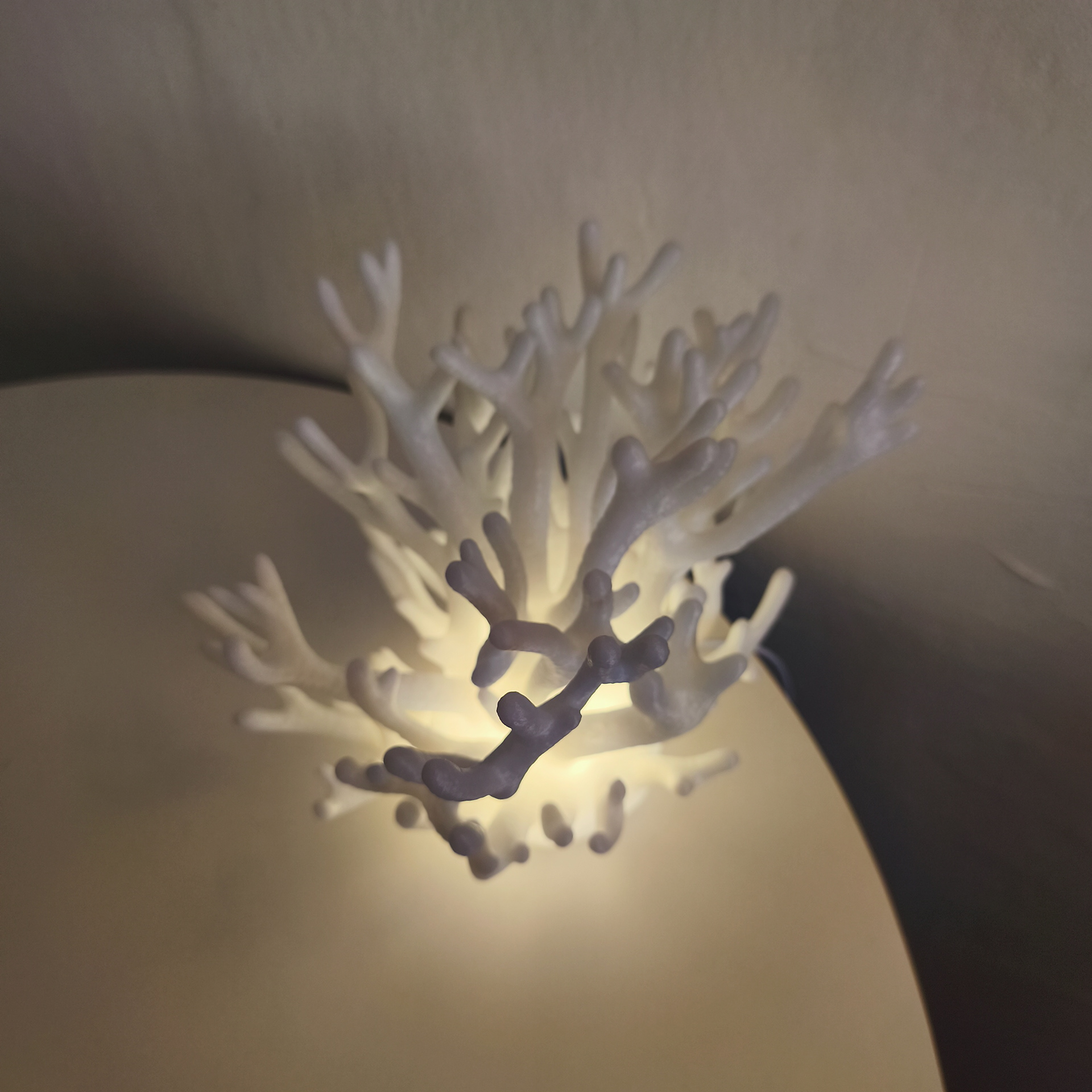 02 coral_lamp