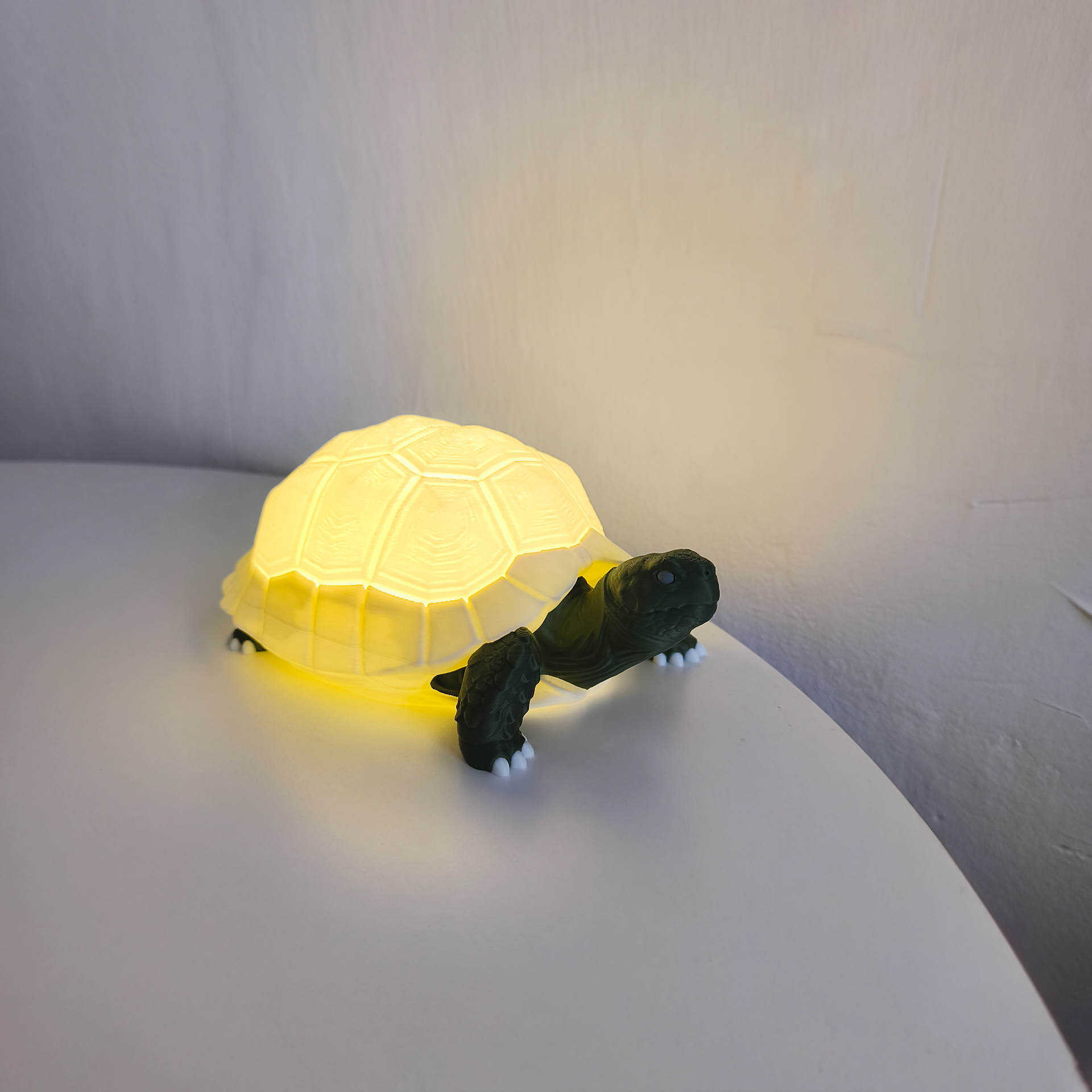 06 tortoise_lamp