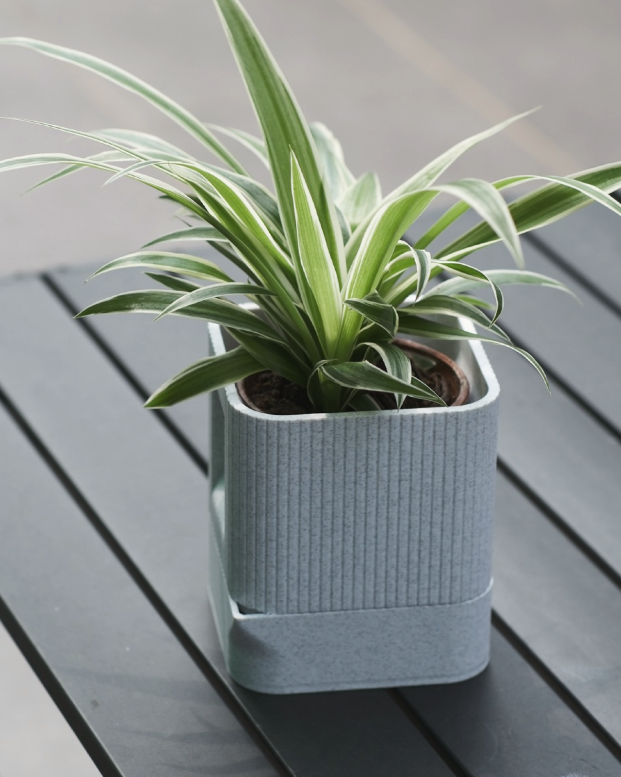 01 aura_architectural_ribbed_square_planter_with_hidden_drainage