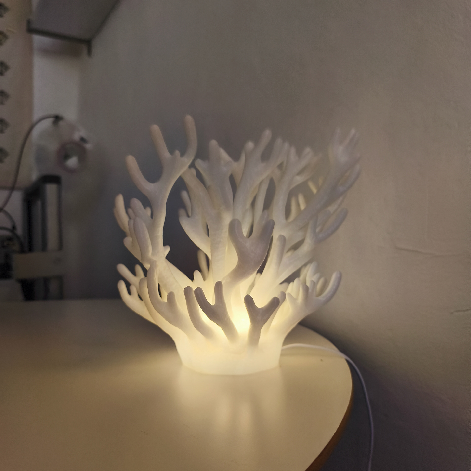 02 coral_lamp