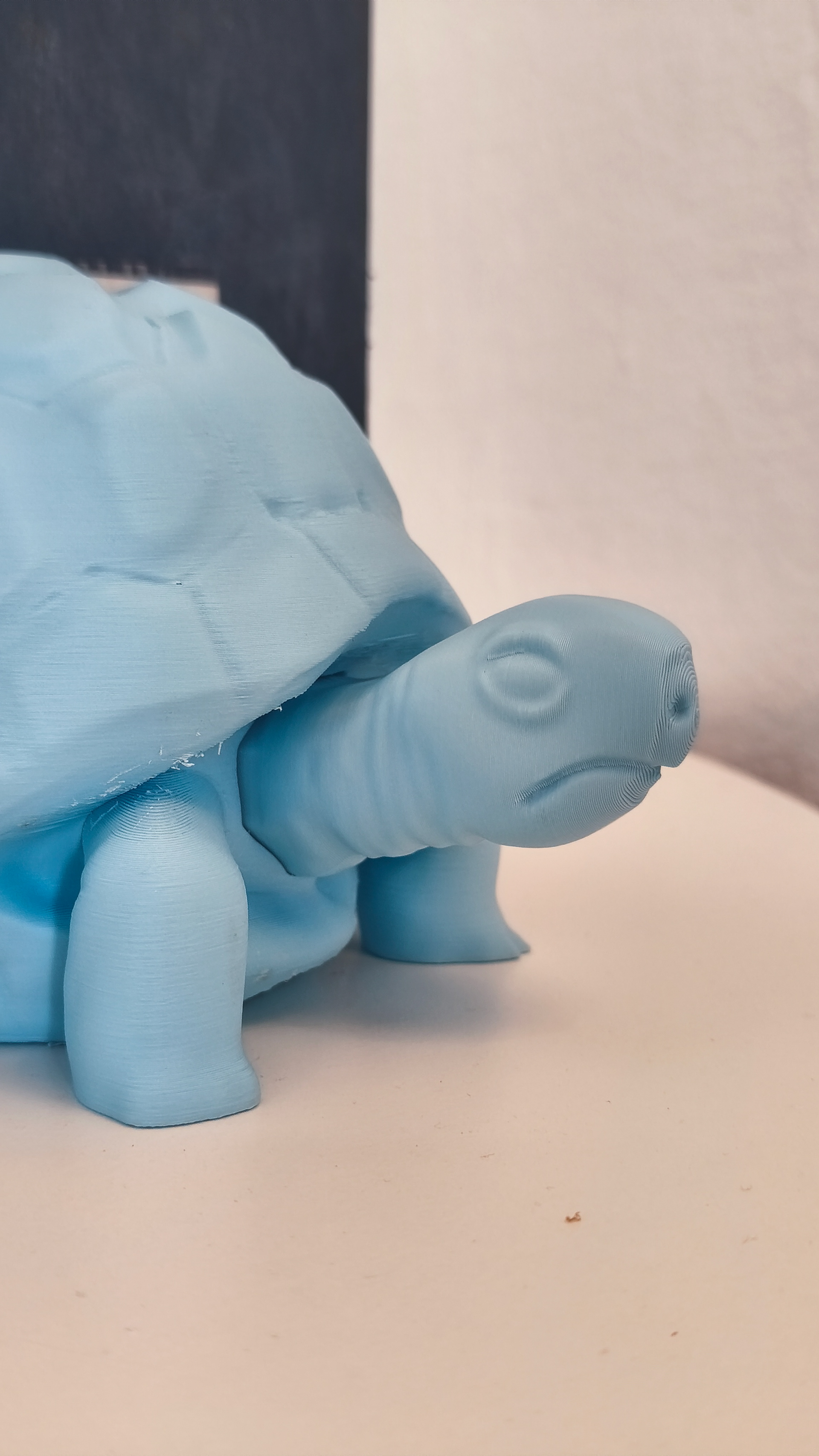 15 turtle_bookend
