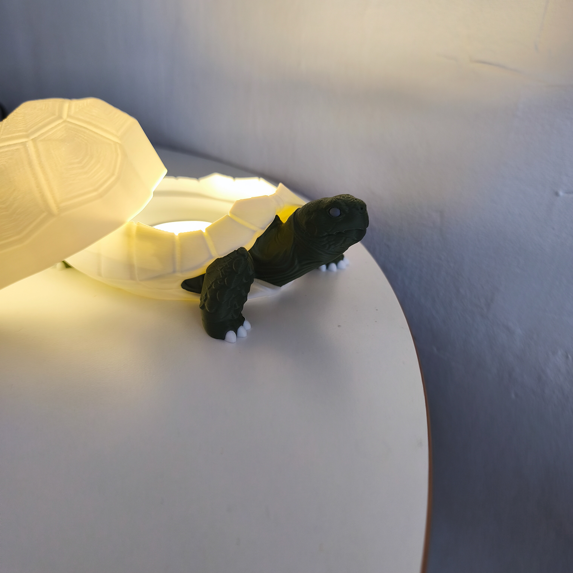 06 tortoise_lamp