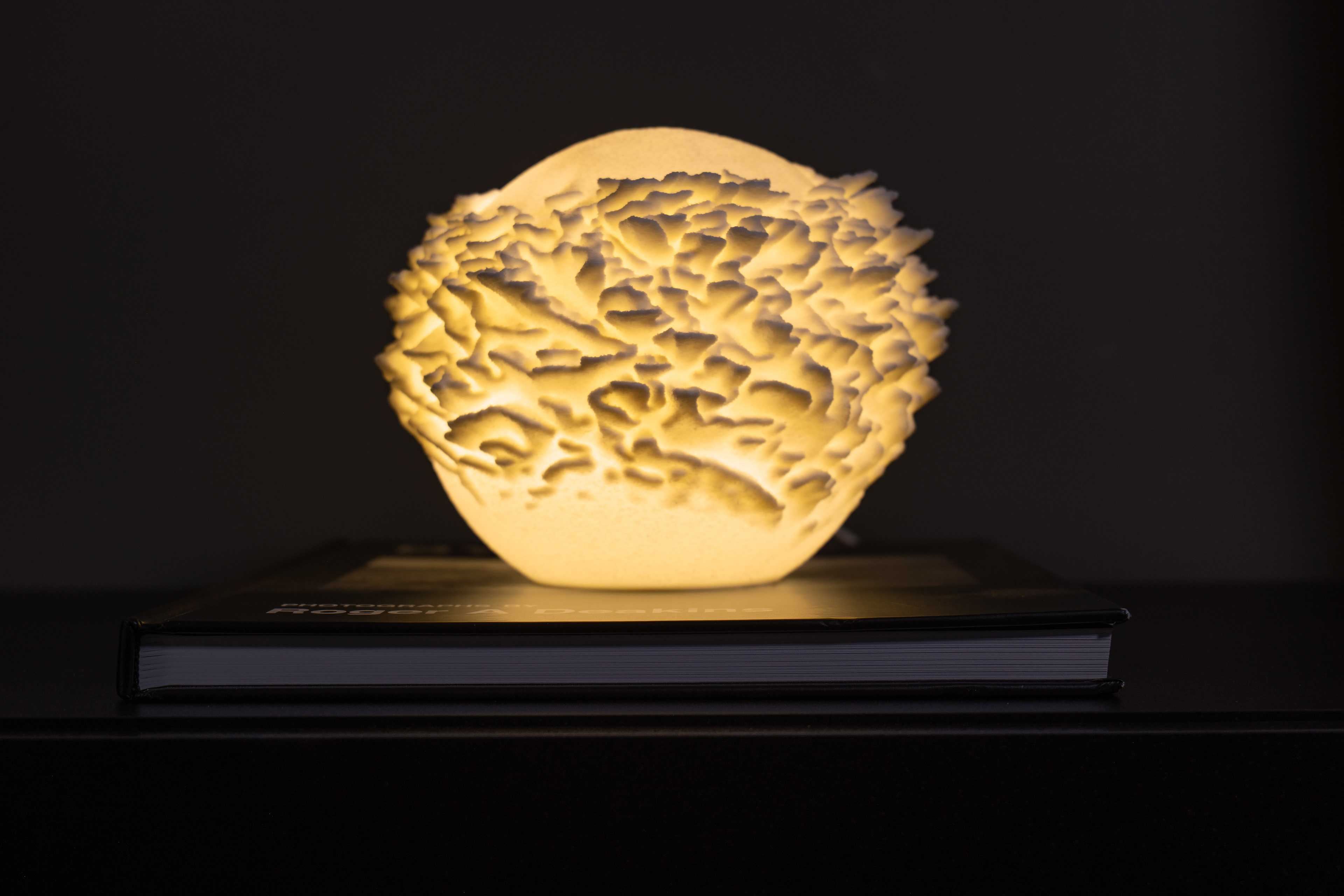 14 Plate Coral Sculpted Mini Lamp
