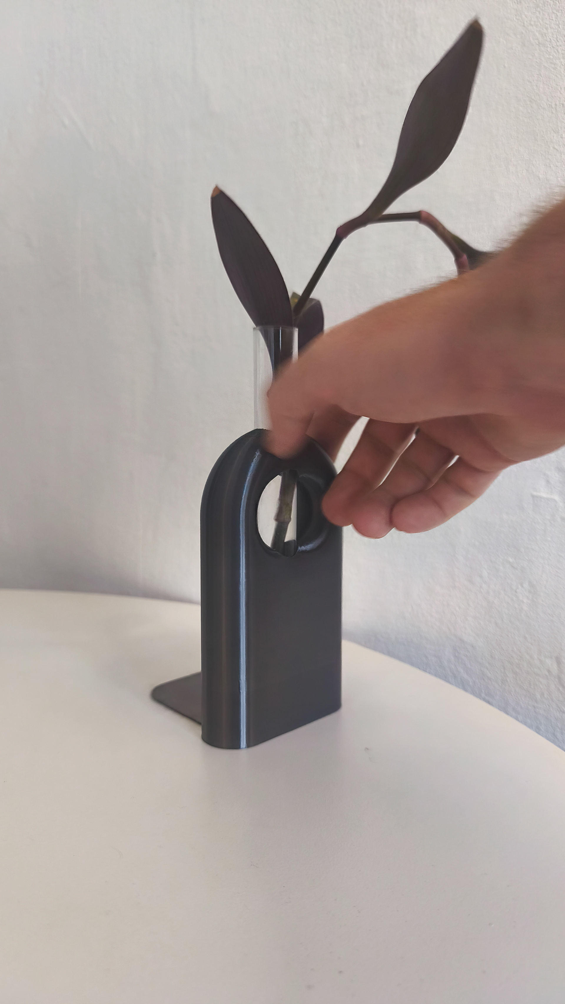 11 minimalist_plant_propagation_bookend_holder